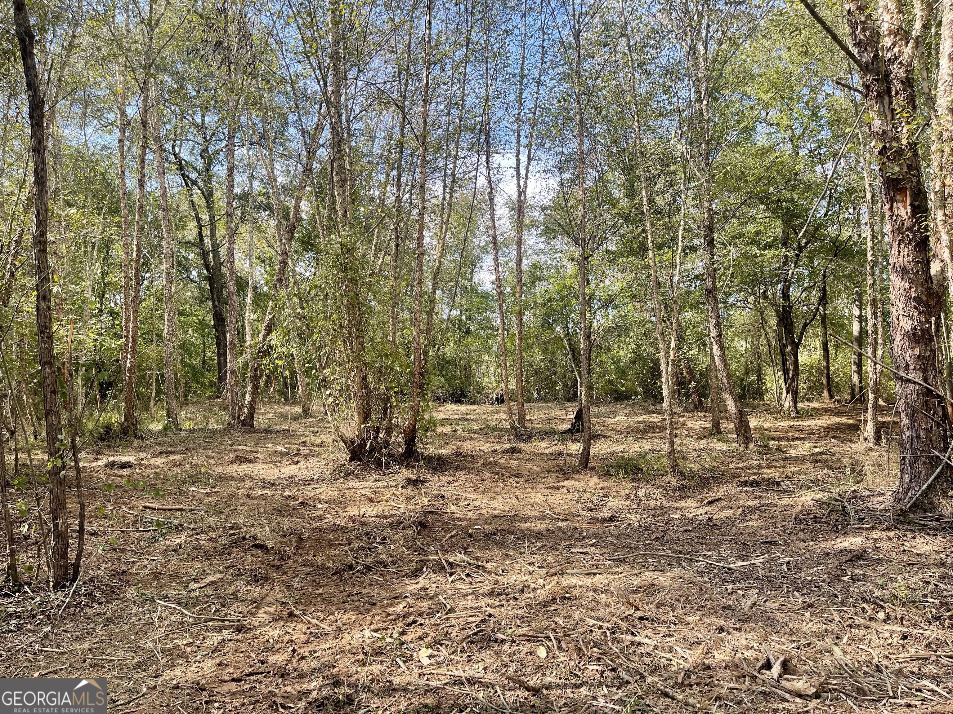 0 Buffalo Creek Road Property Photo 6