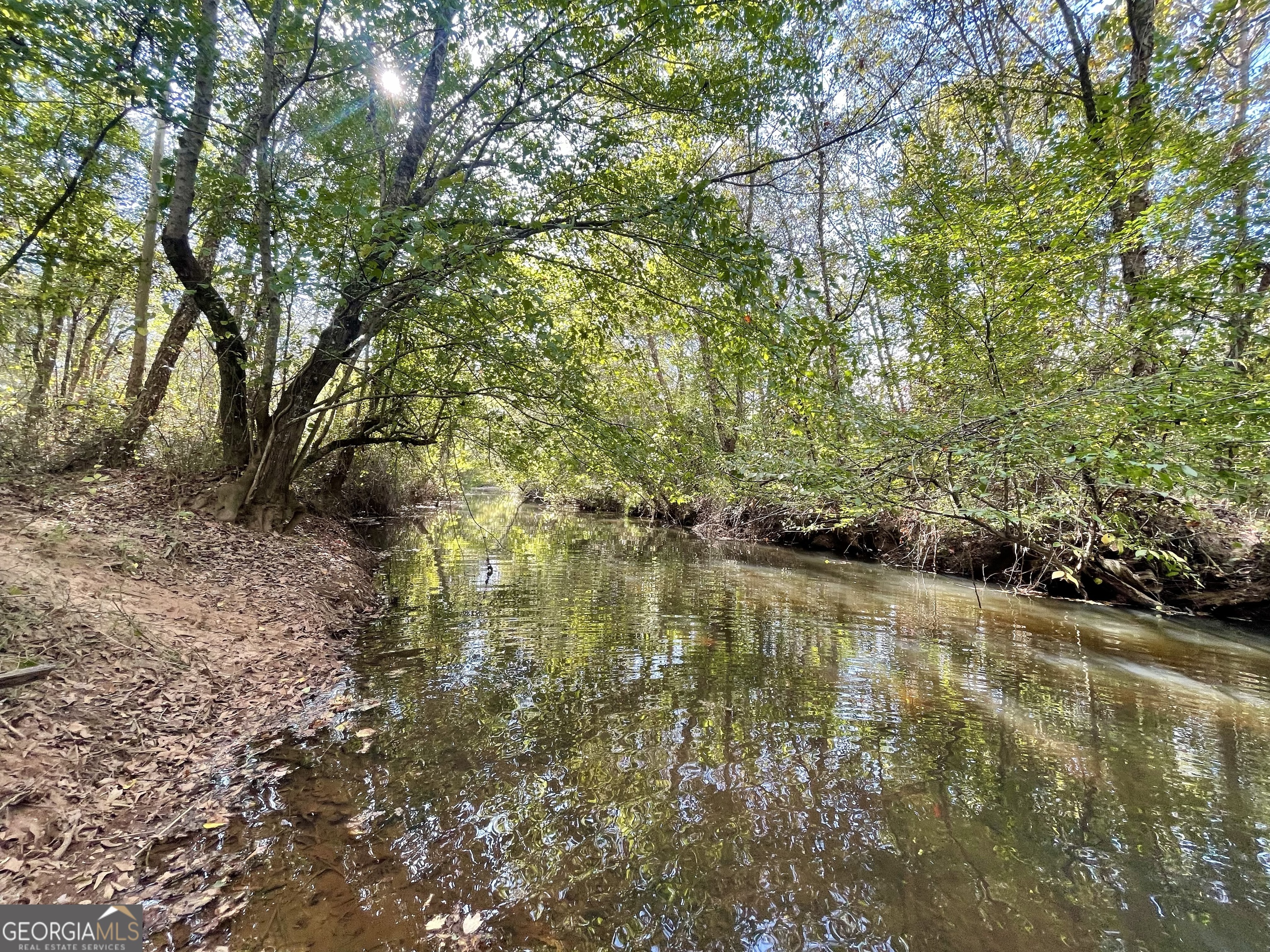 0 Buffalo Creek Road Property Photo 8