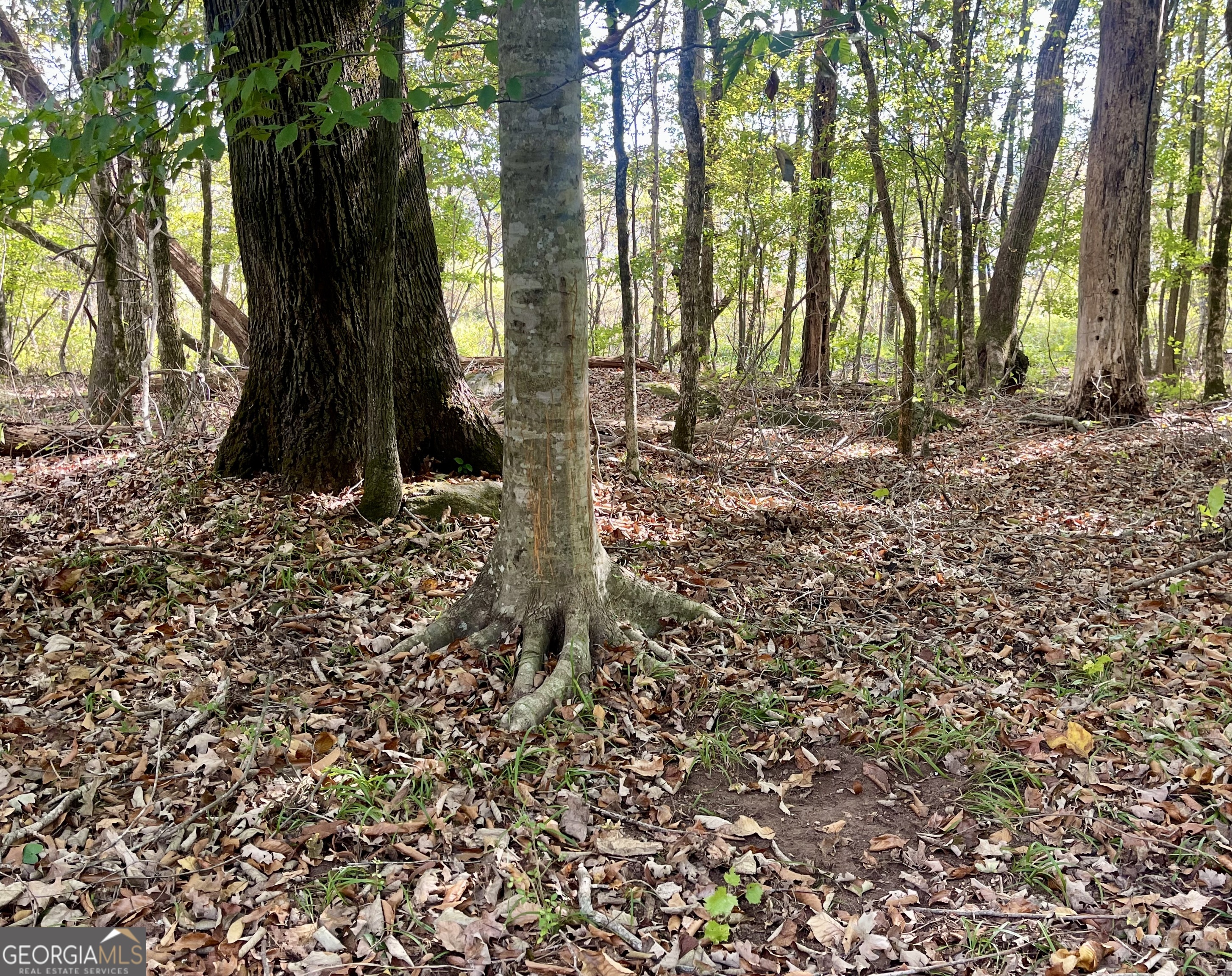 0 Buffalo Creek Road Property Photo 10