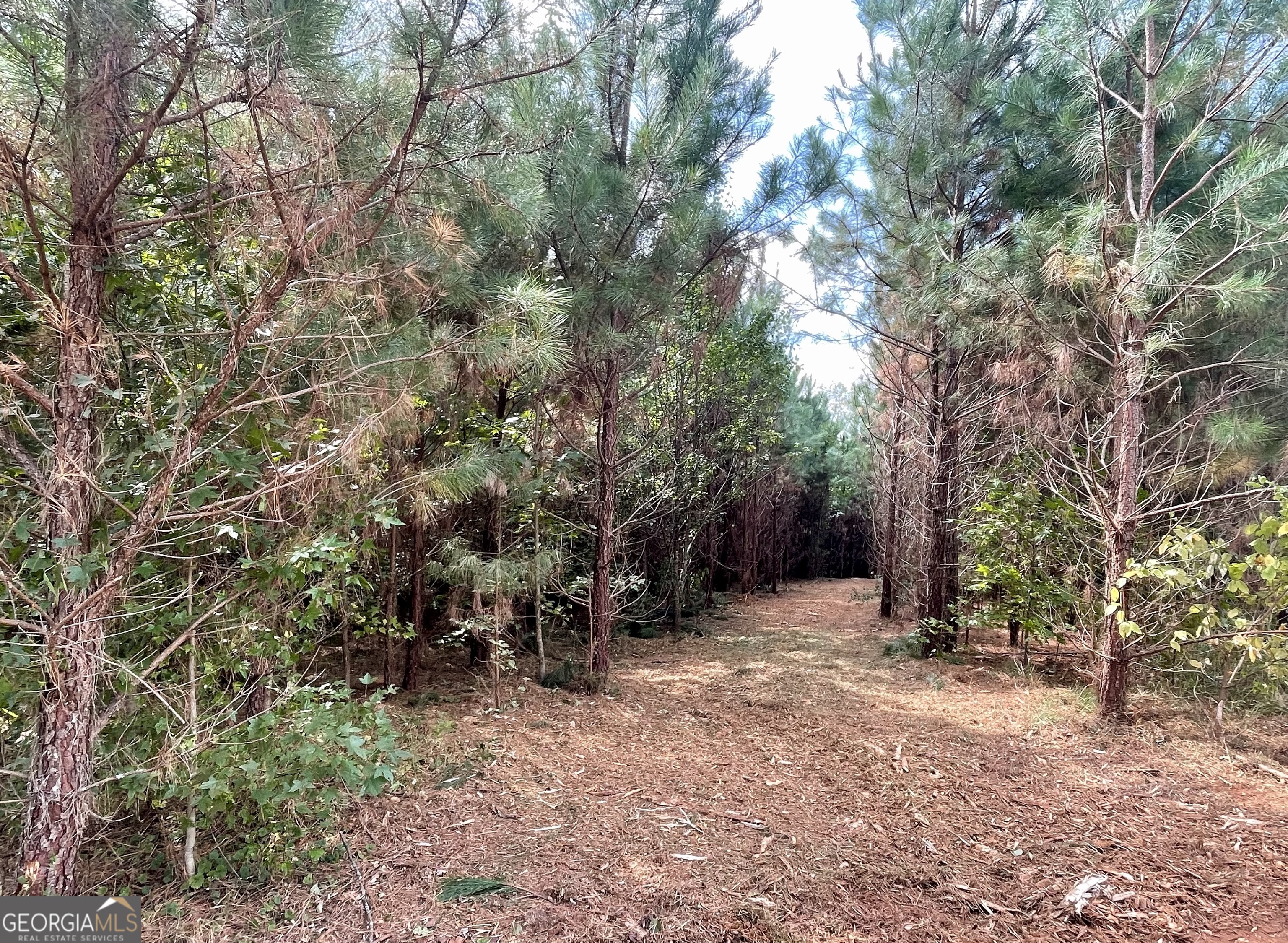0 Buffalo Creek Road Property Photo 14