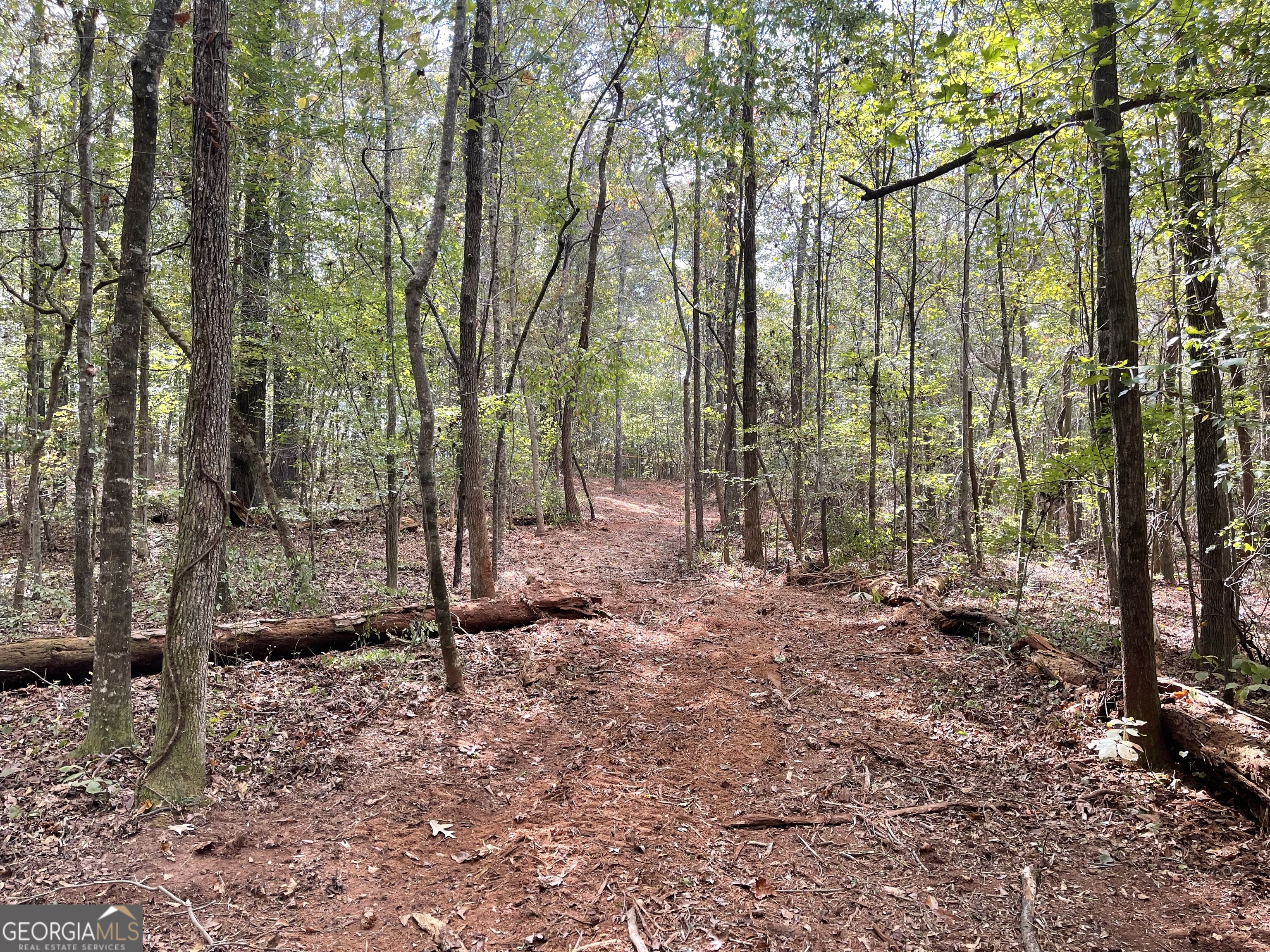 0 Buffalo Creek Road Property Photo 16