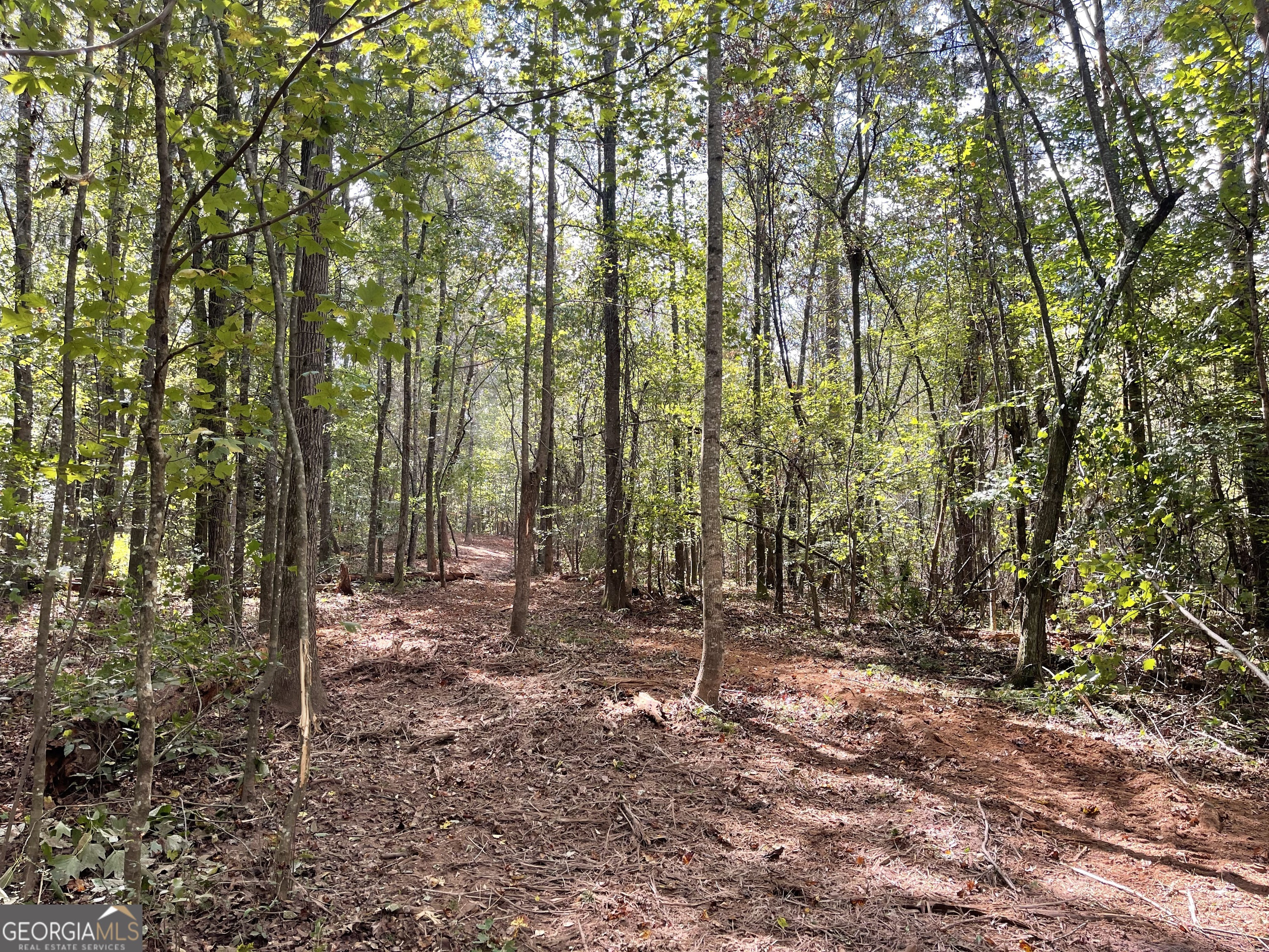0 Buffalo Creek Road Property Photo 17
