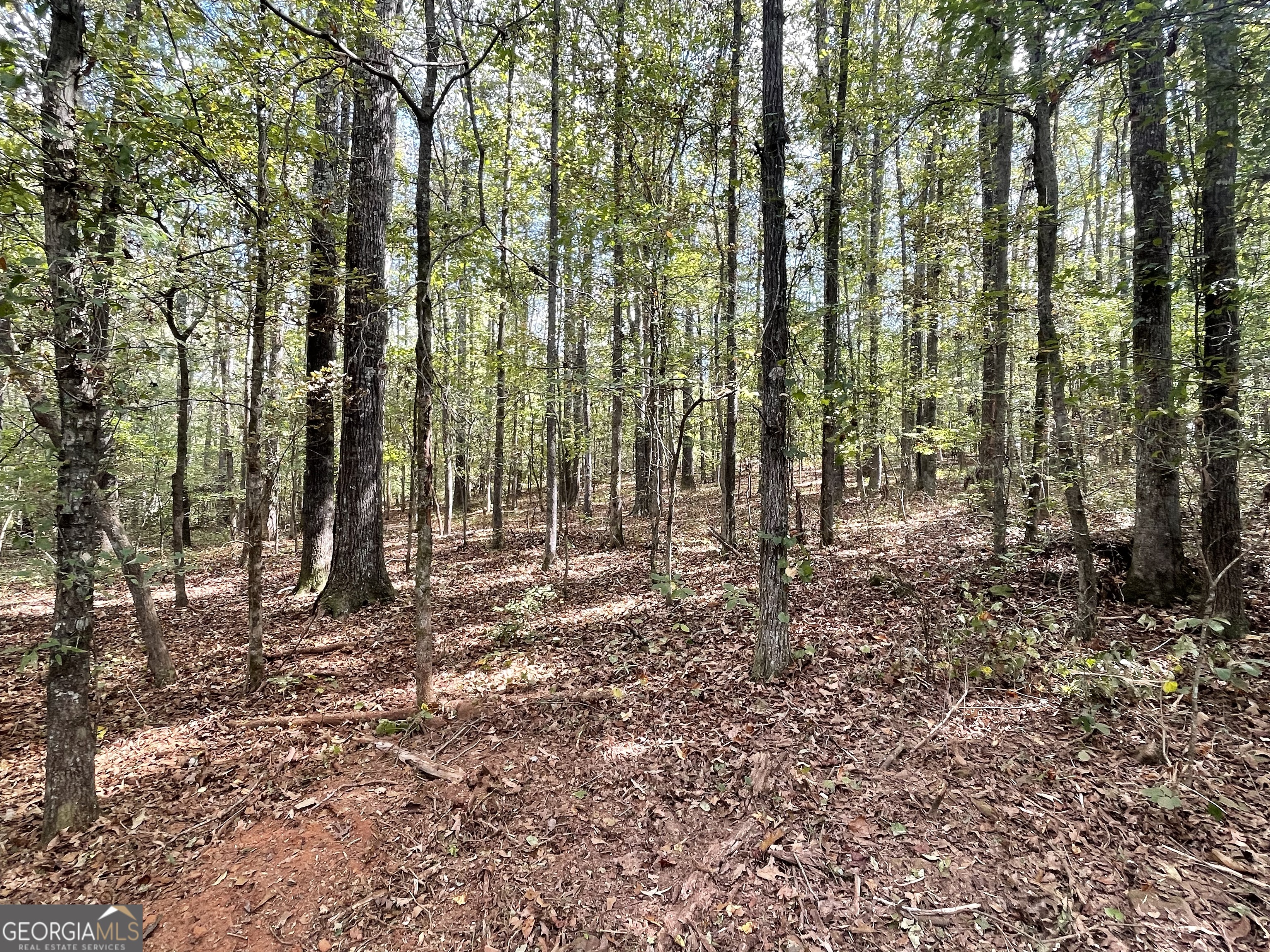 0 Buffalo Creek Road Property Photo 18