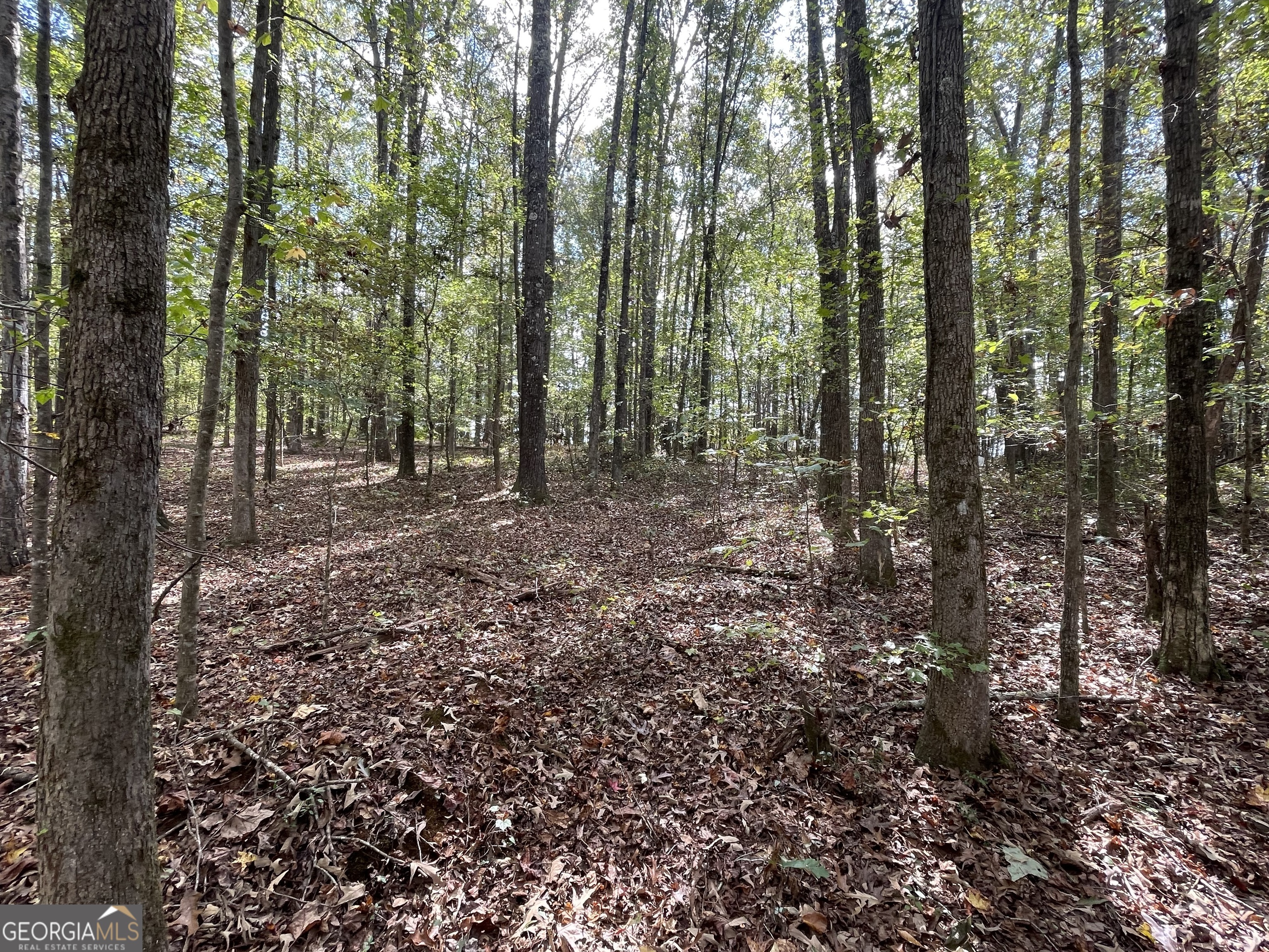 0 Buffalo Creek Road Property Photo 19