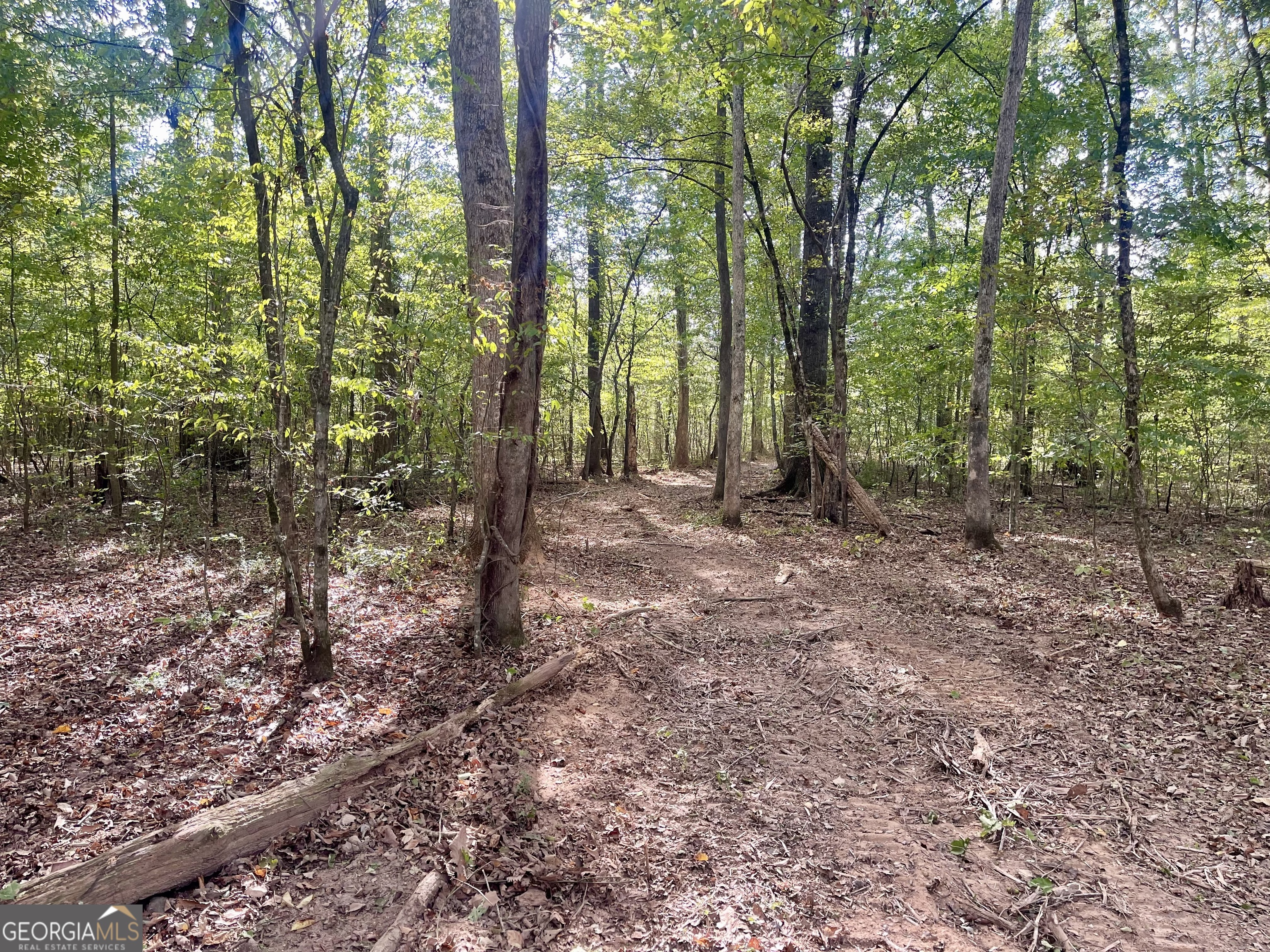 0 Buffalo Creek Road Property Photo 20