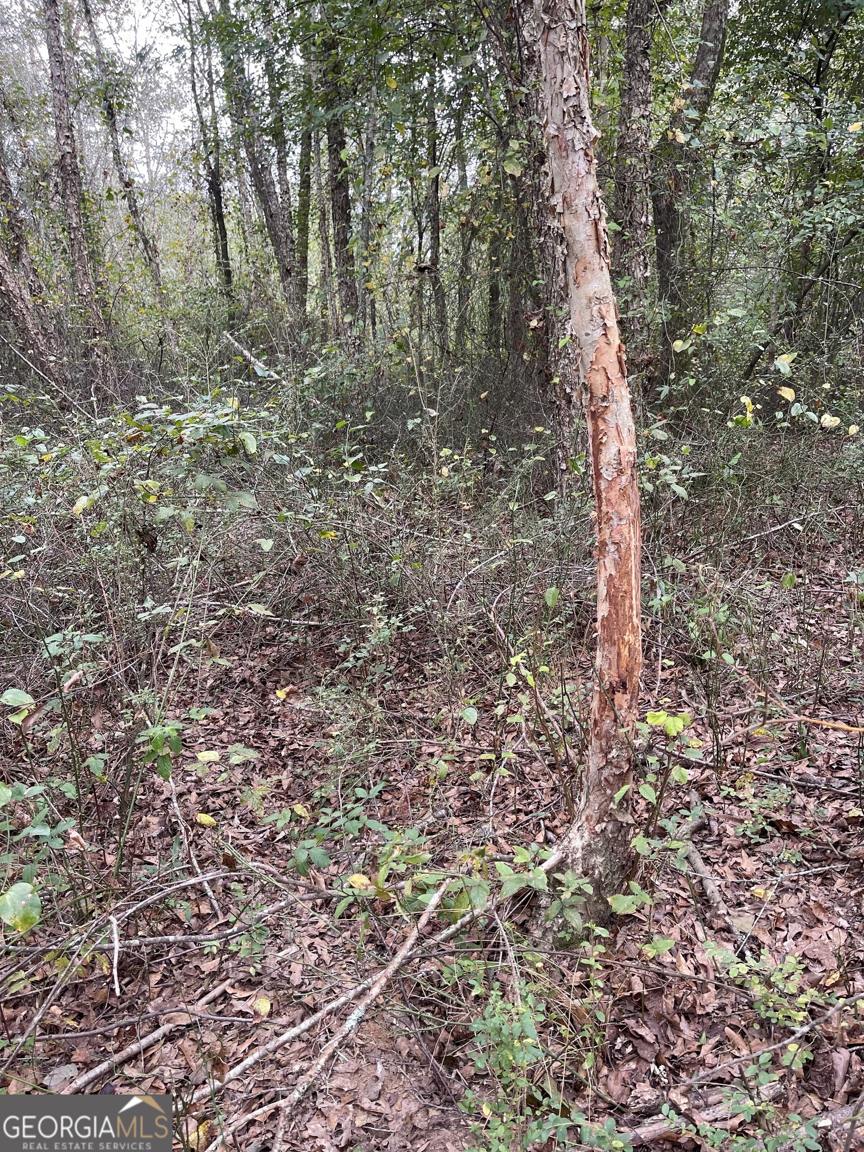 0 Buffalo Creek Road Property Photo 23