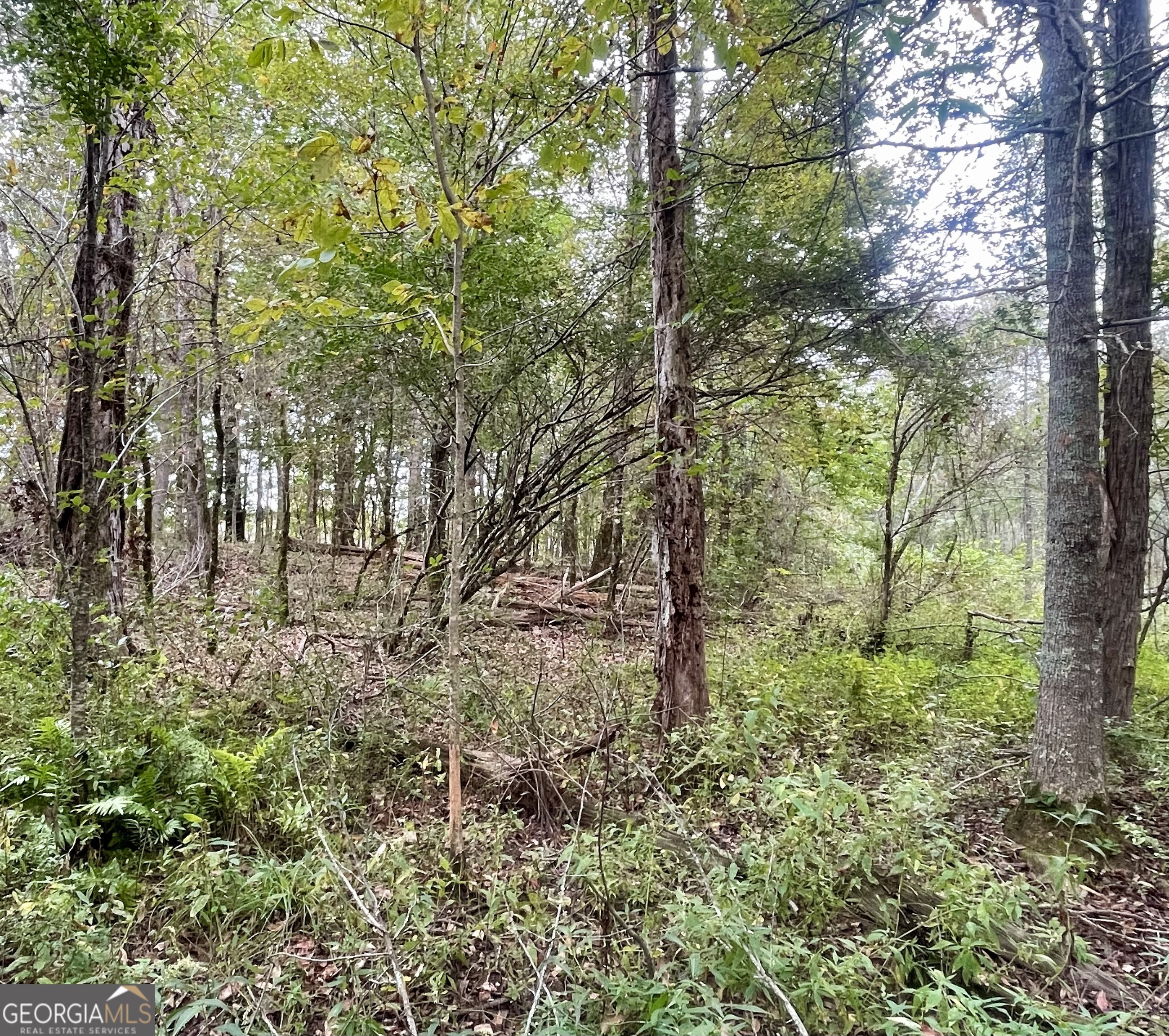 0 Buffalo Creek Road Property Photo 24