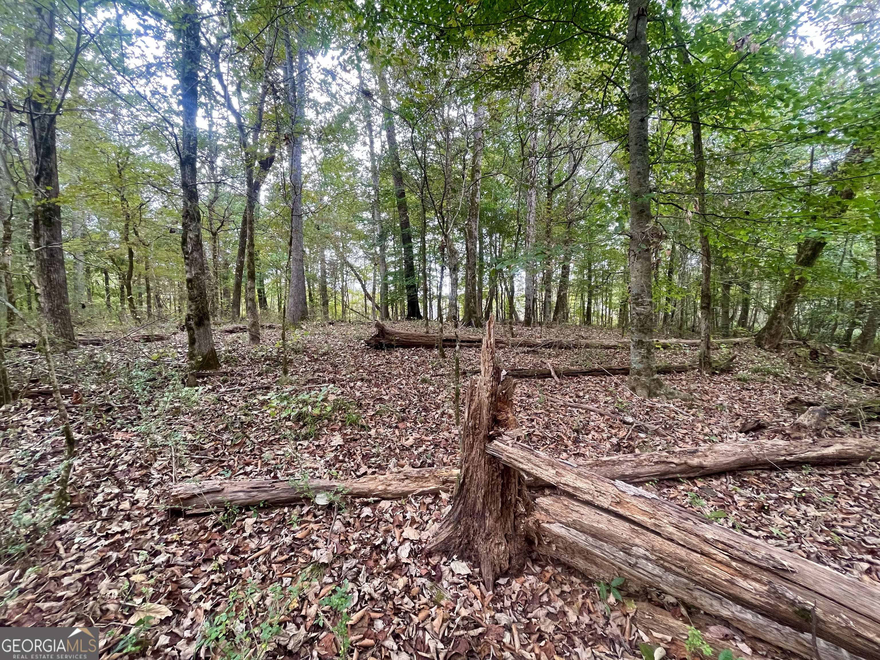 0 Buffalo Creek Road Property Photo 25