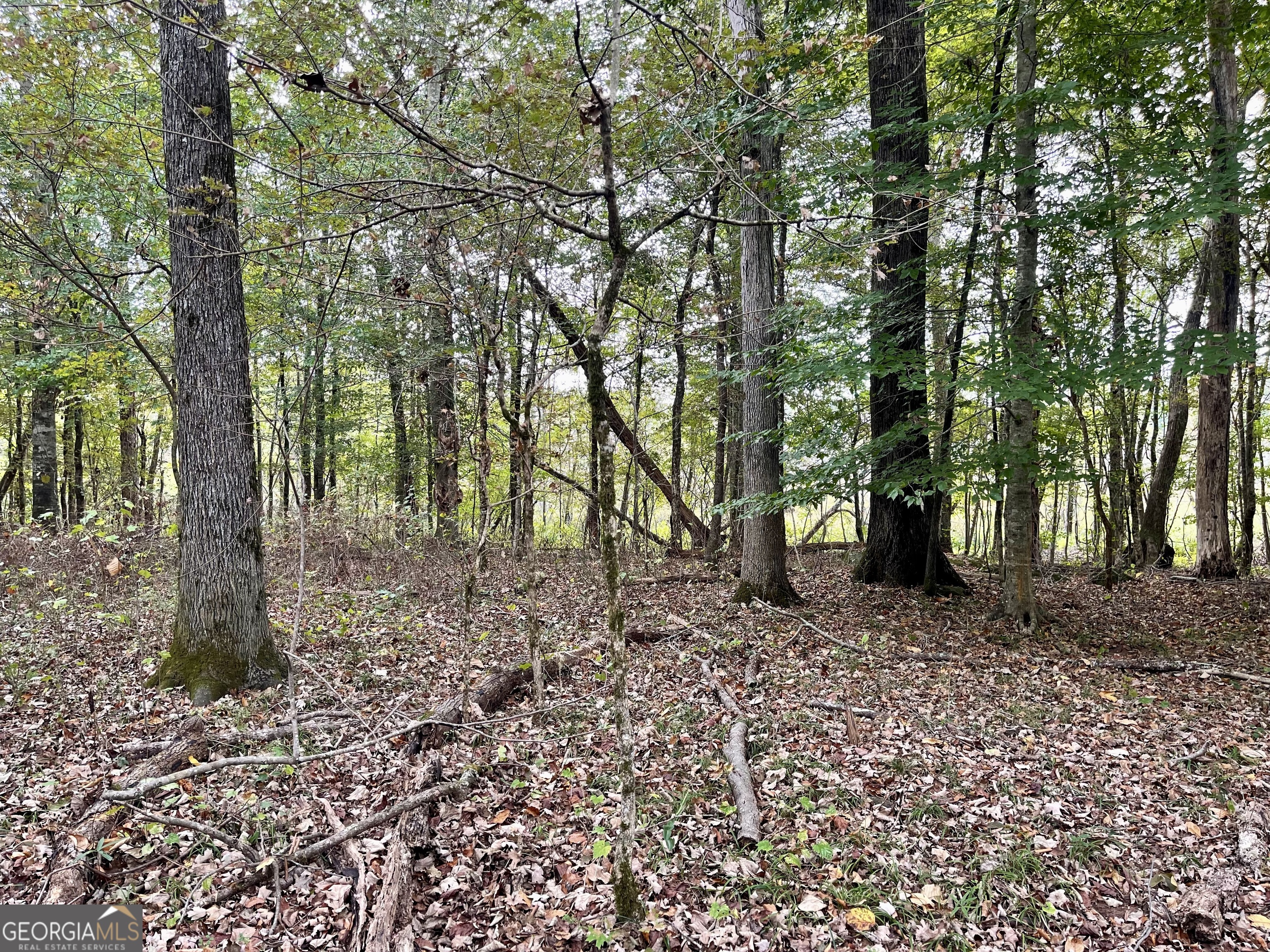 0 Buffalo Creek Road Property Photo 26