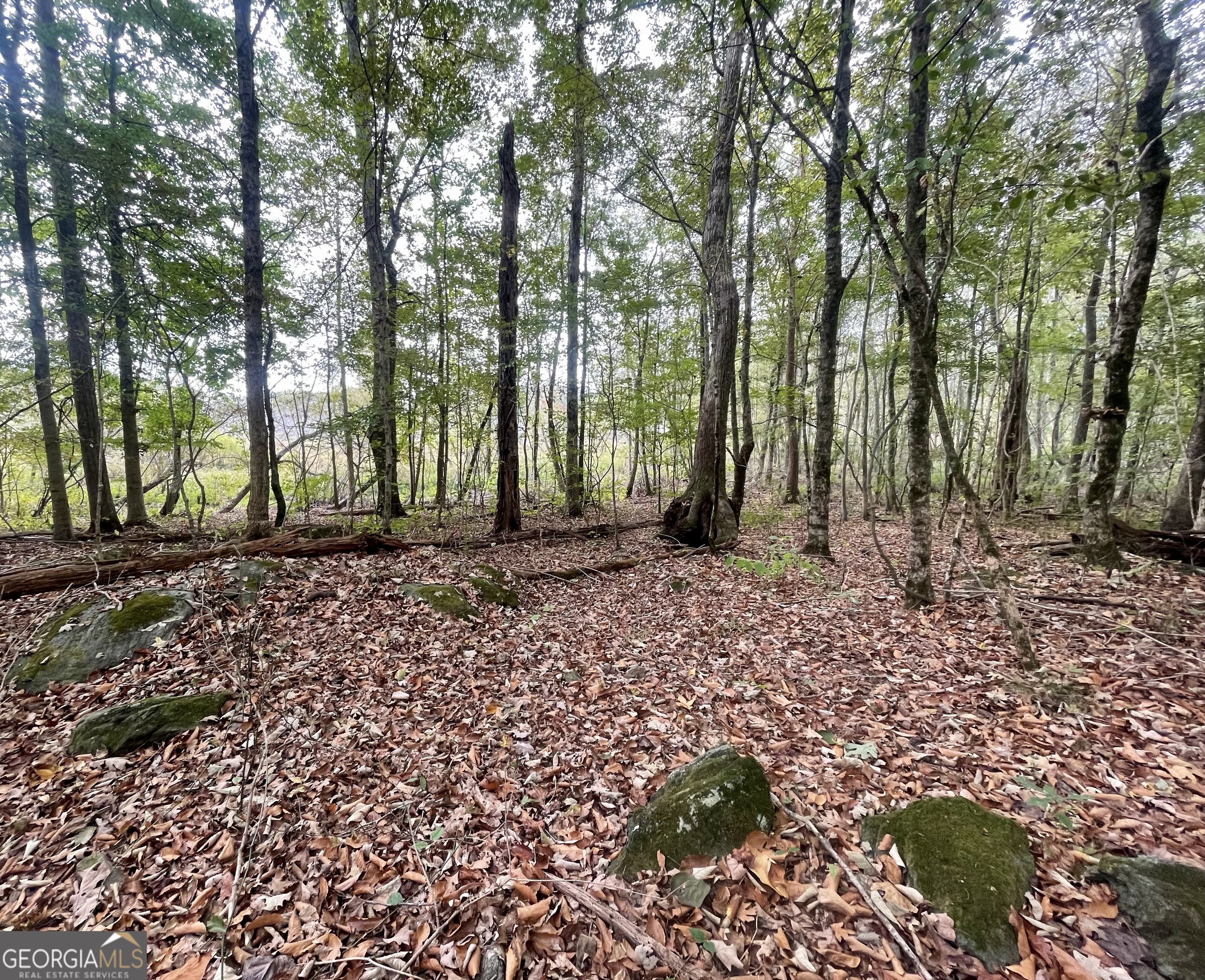 0 Buffalo Creek Road Property Photo 27