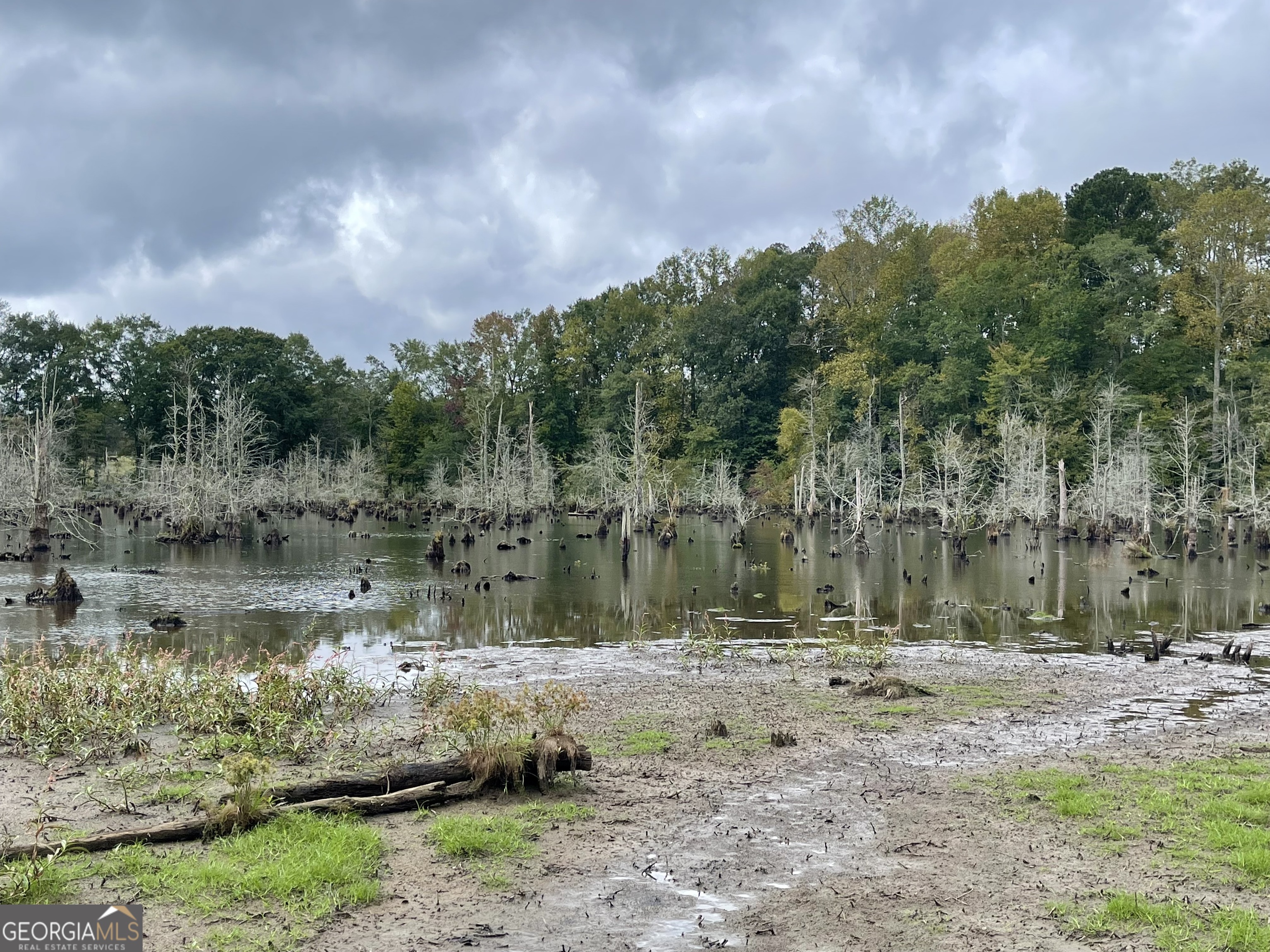 0 Buffalo Creek Road Property Photo 30