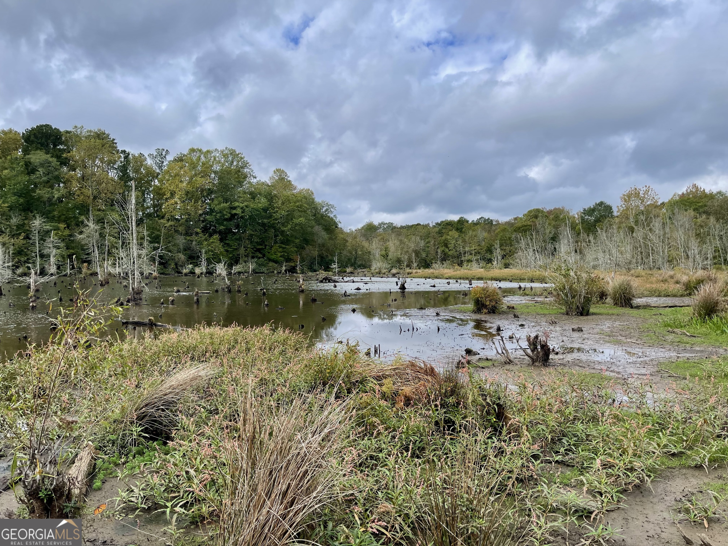 0 Buffalo Creek Road Property Photo 31