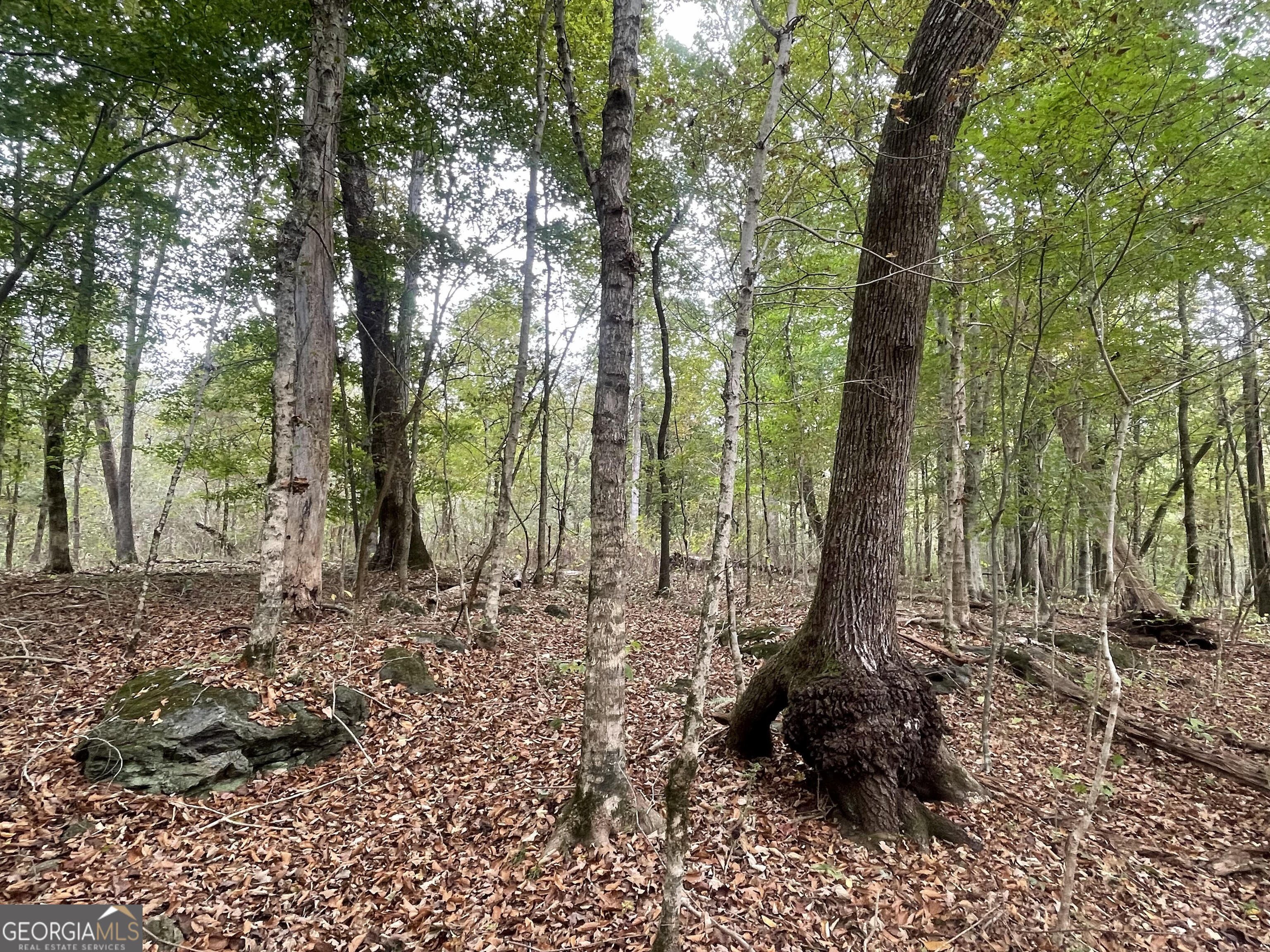 0 Buffalo Creek Road Property Photo 32