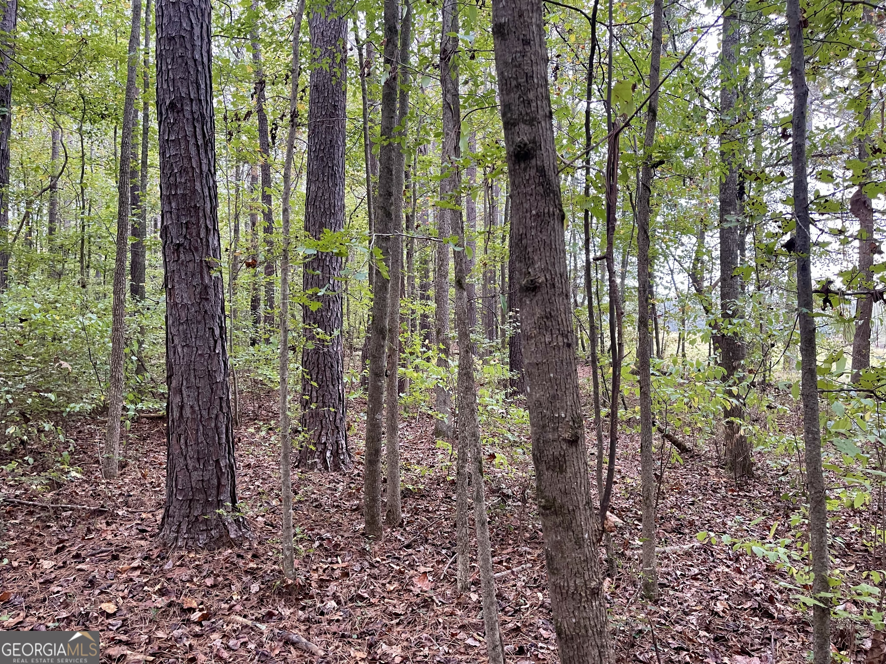 0 Buffalo Creek Road Property Photo 33