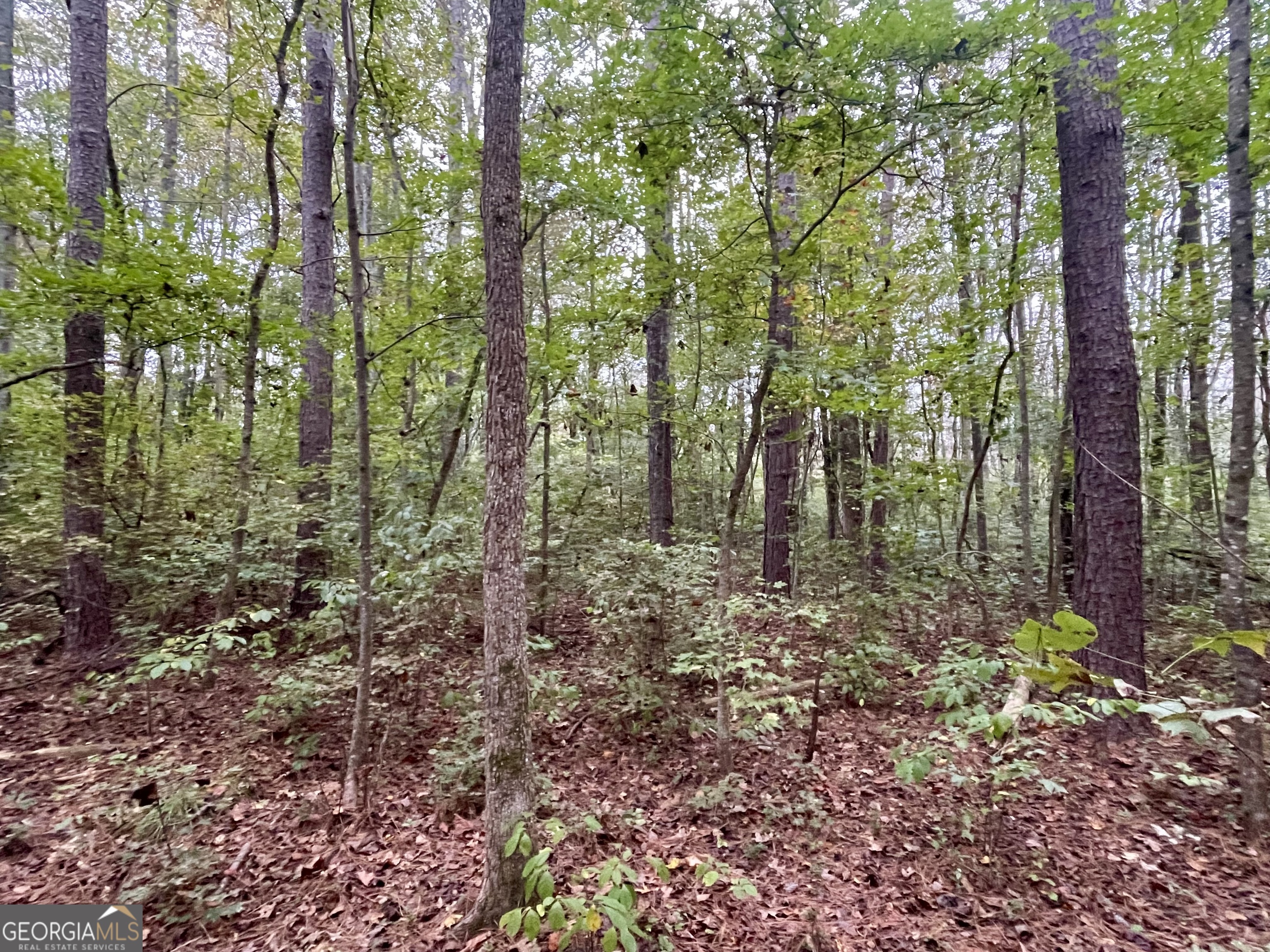 0 Buffalo Creek Road Property Photo 34