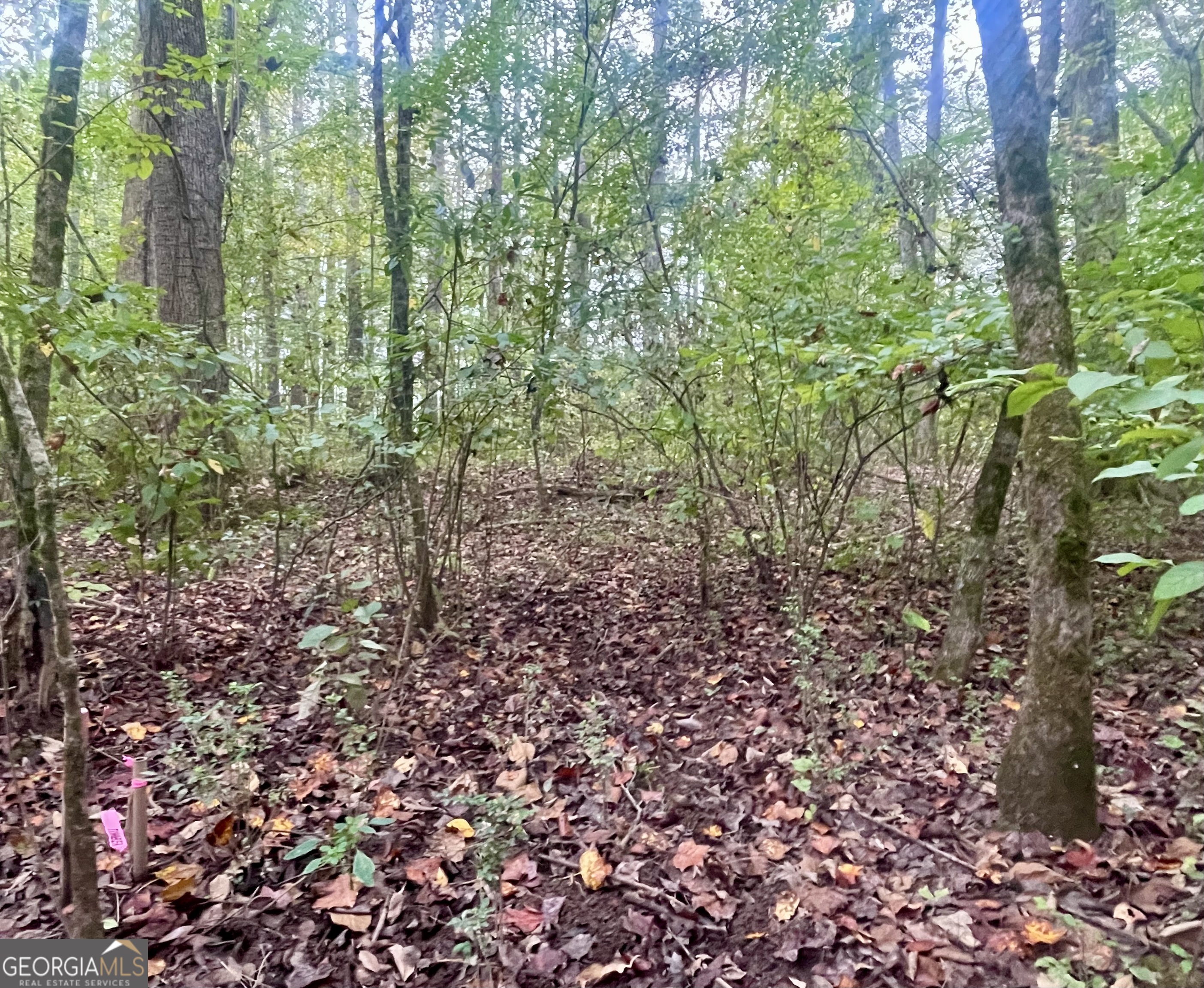 0 Buffalo Creek Road Property Photo 35