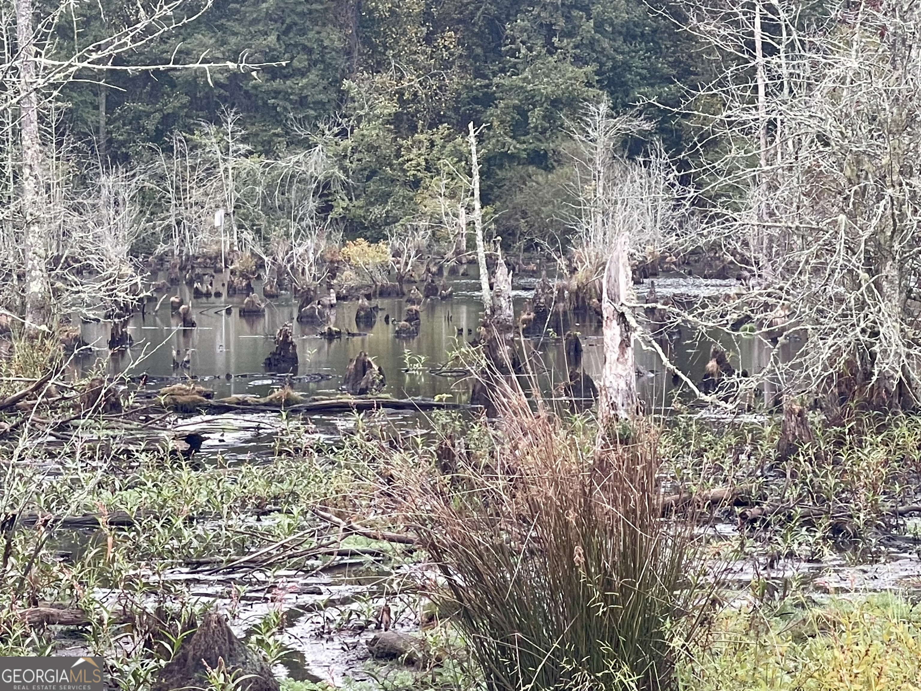 0 Buffalo Creek Road Property Photo 36
