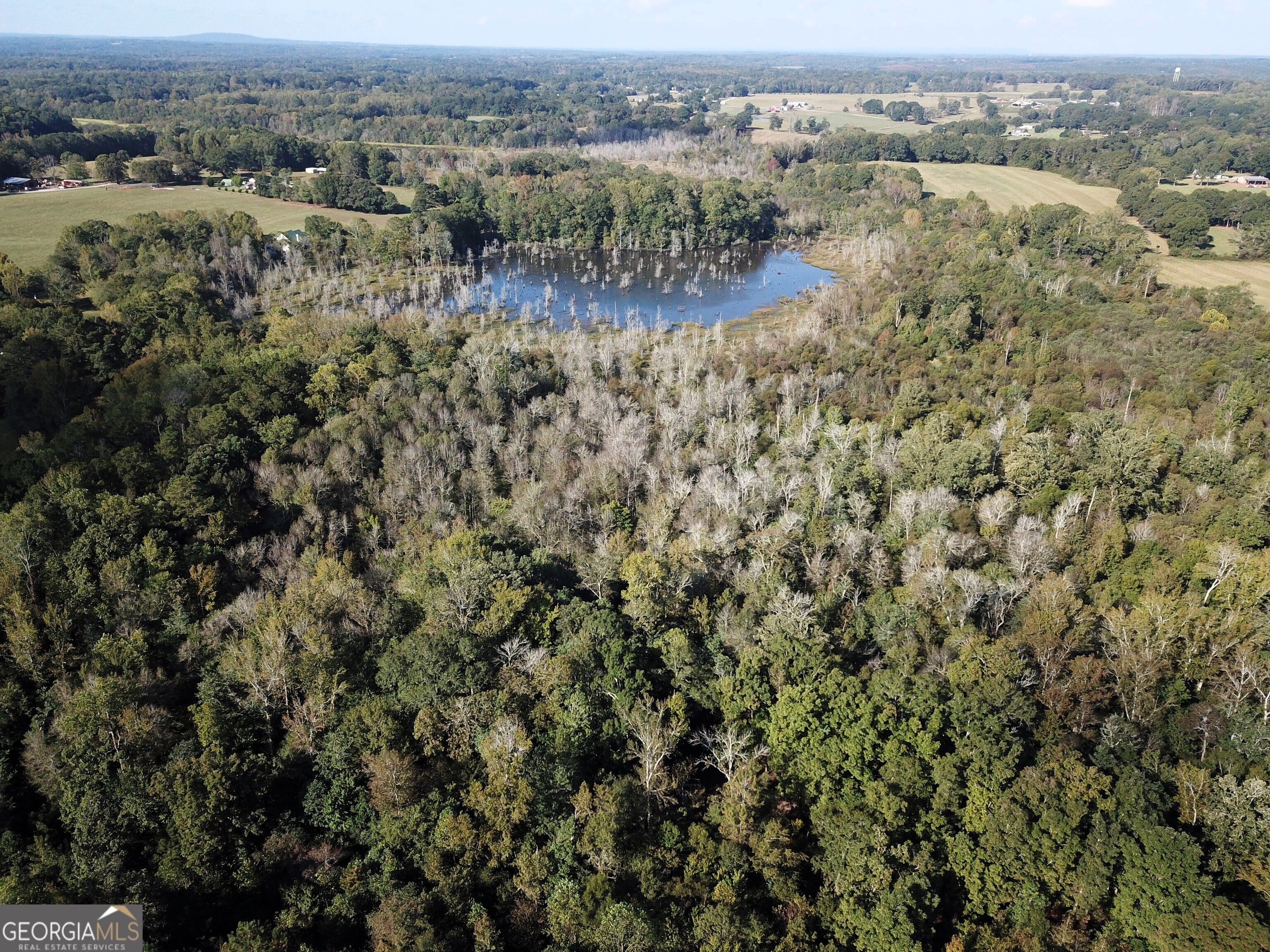 0 Buffalo Creek Road Property Photo 42