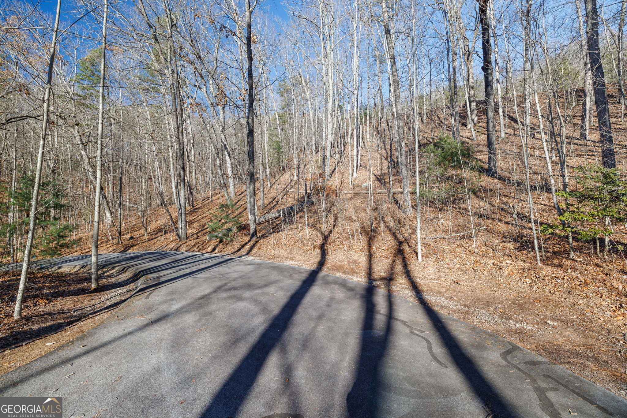 0 Forest Canopy Way # 11 Property Photo 3