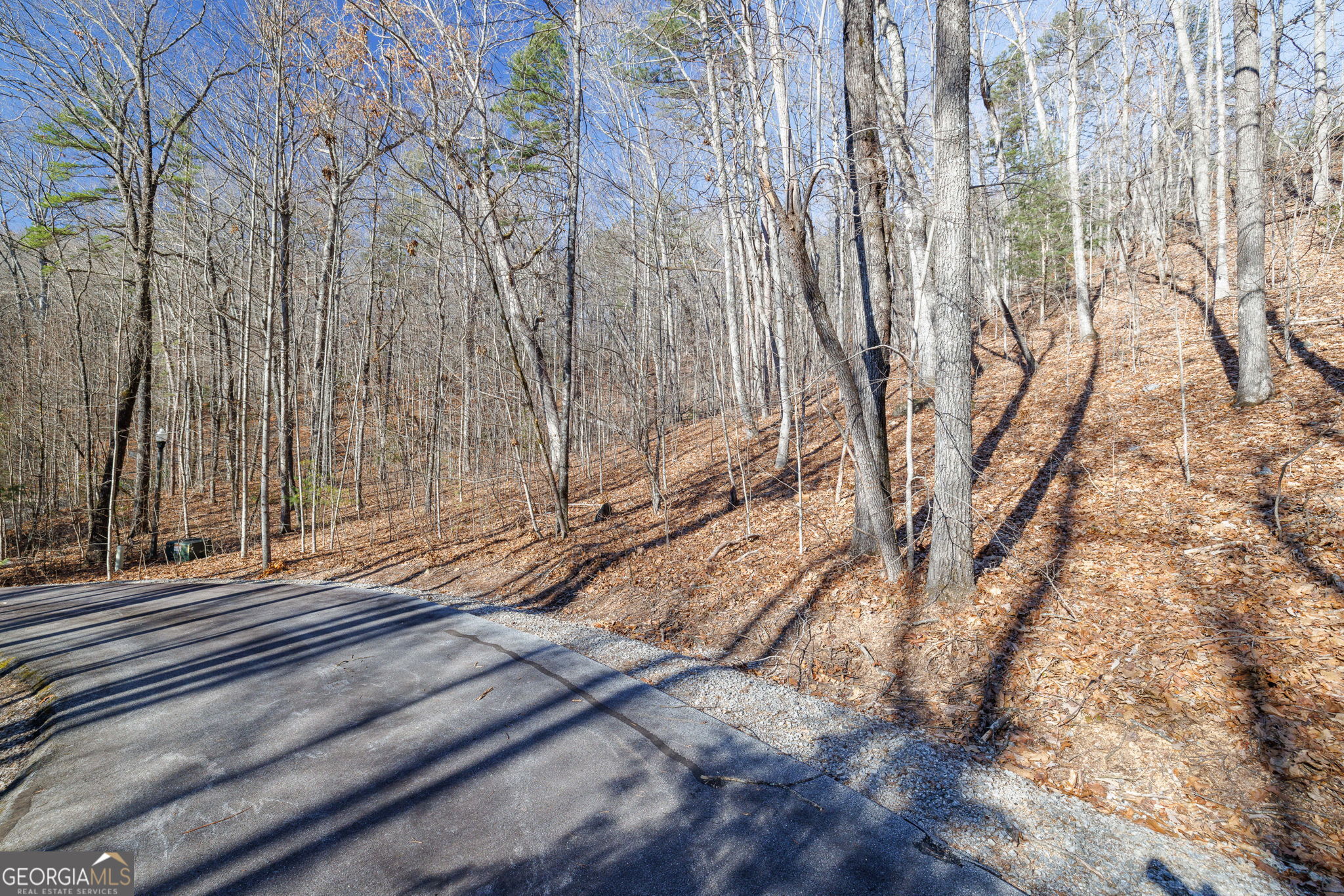 0 Forest Canopy Way # 11 Property Photo 4