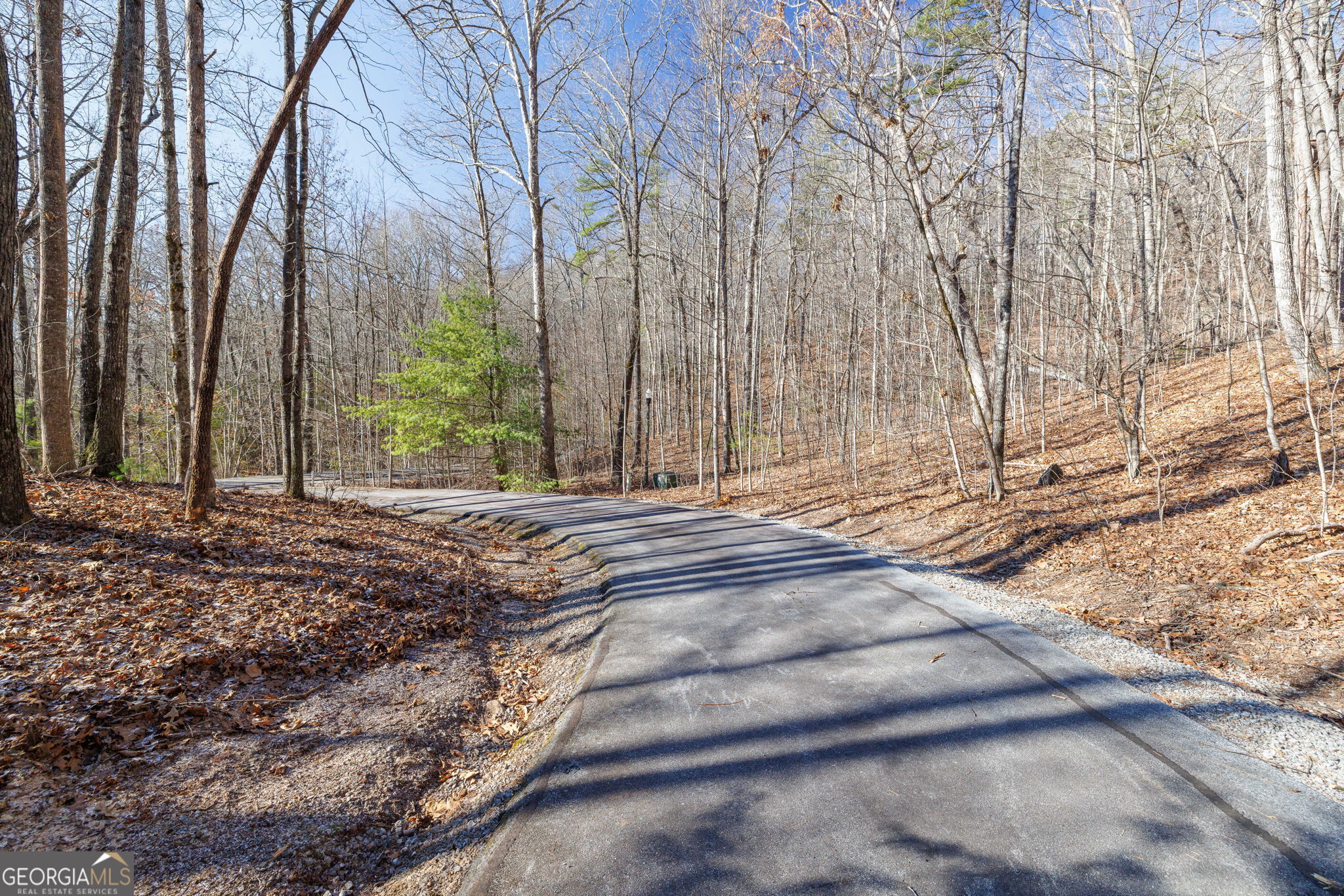 0 Forest Canopy Way # 11 Property Photo 5