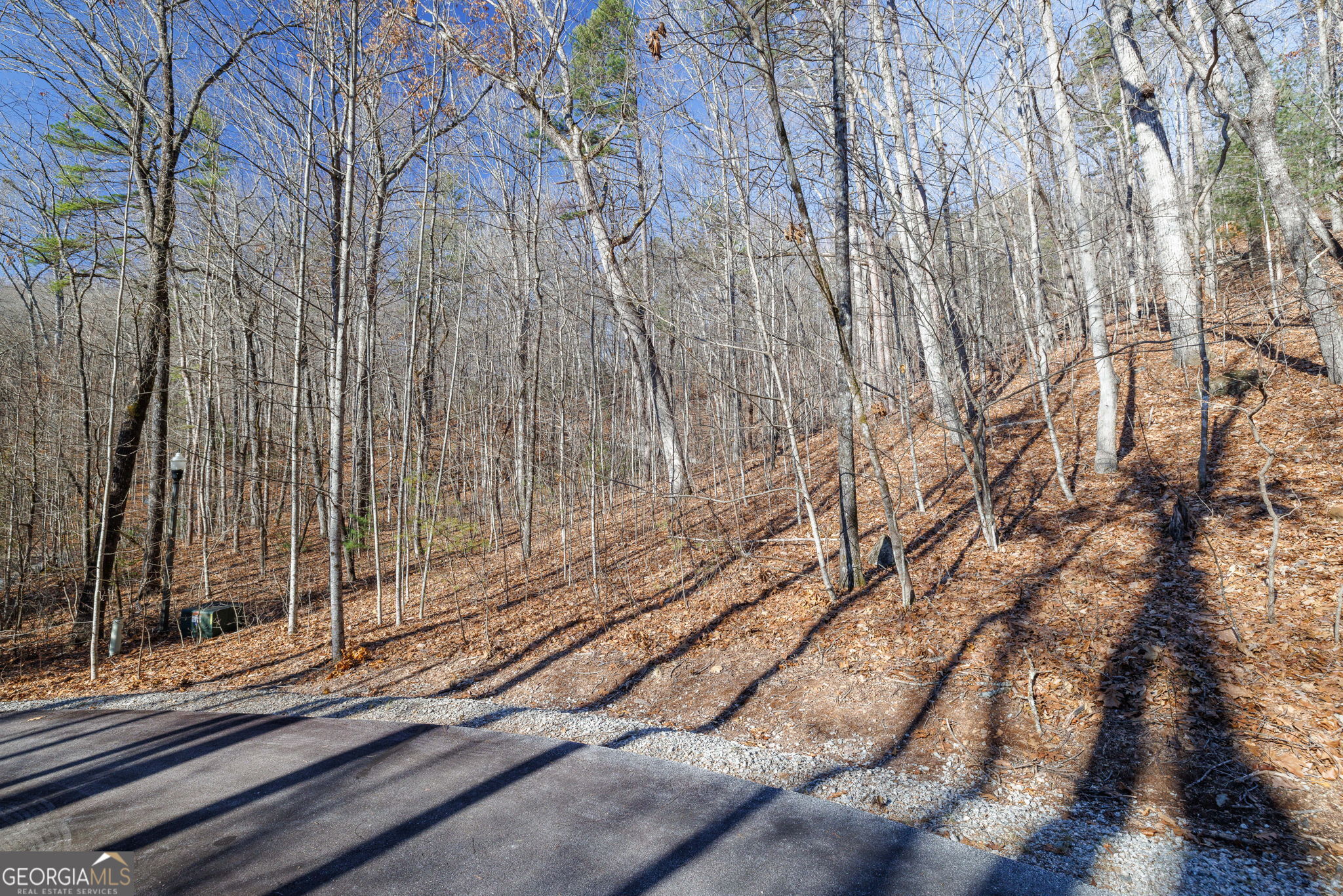0 Forest Canopy Way # 11 Property Photo 6