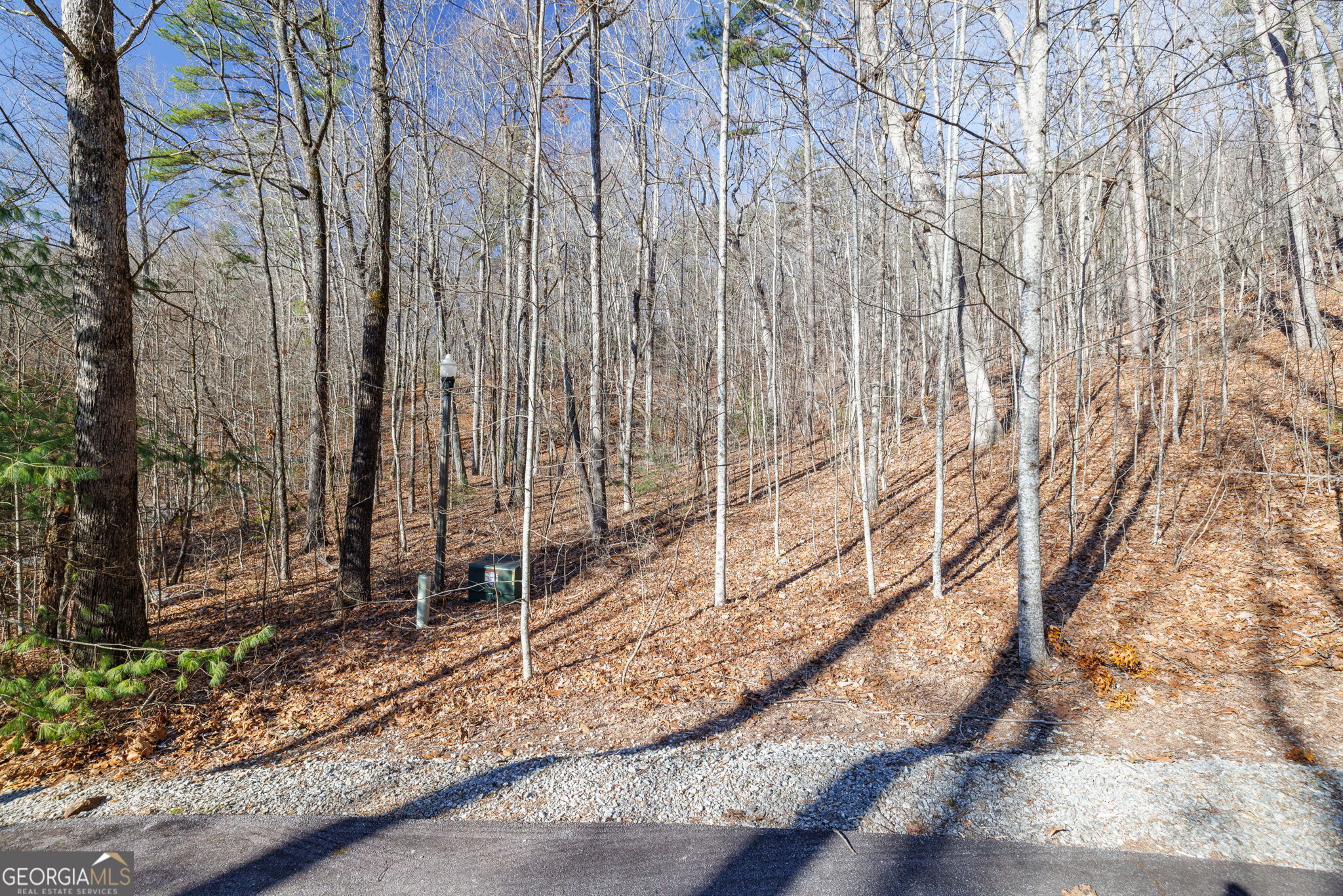 0 Forest Canopy Way # 11 Property Photo 7
