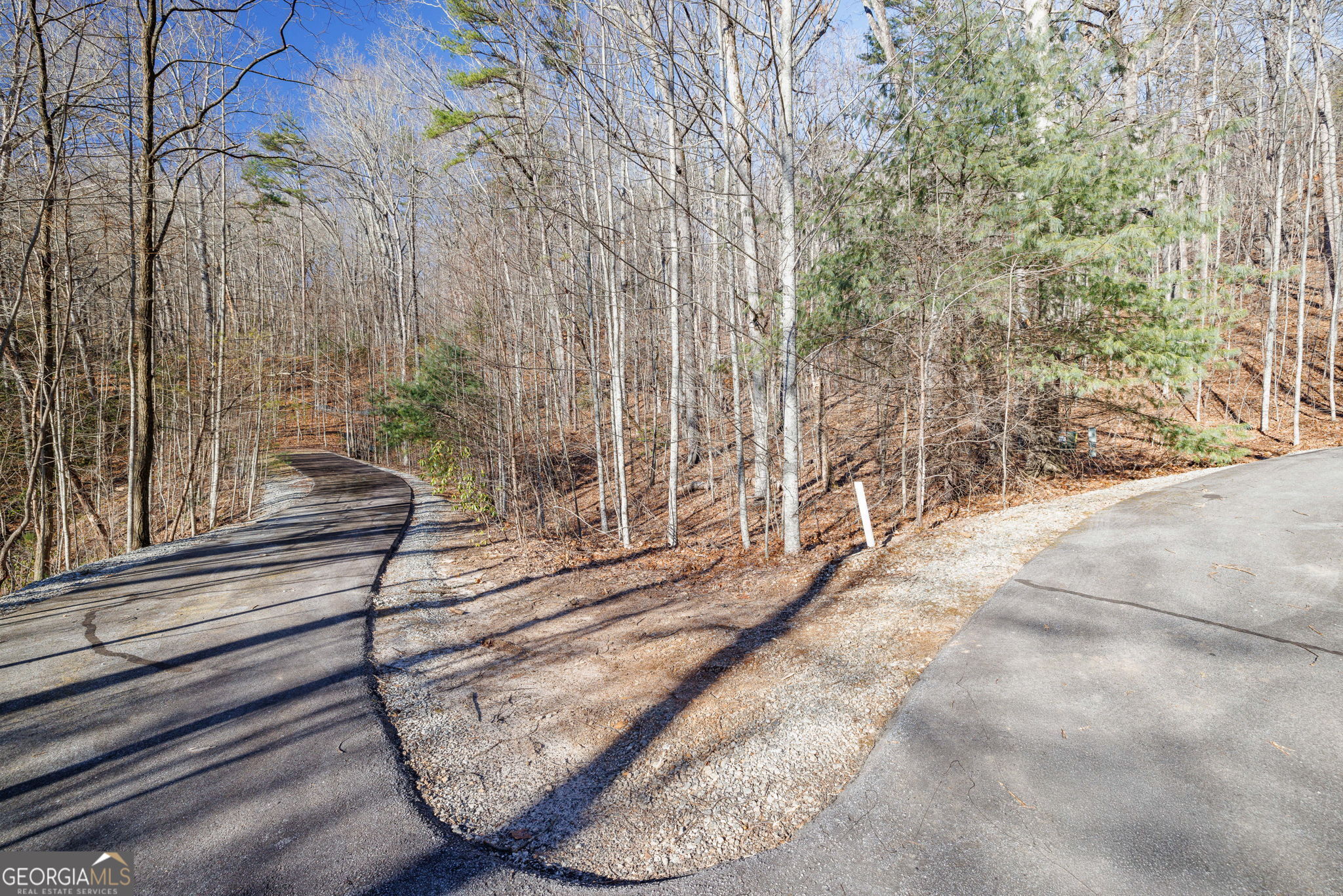 0 Forest Canopy Way # 11 Property Photo 8