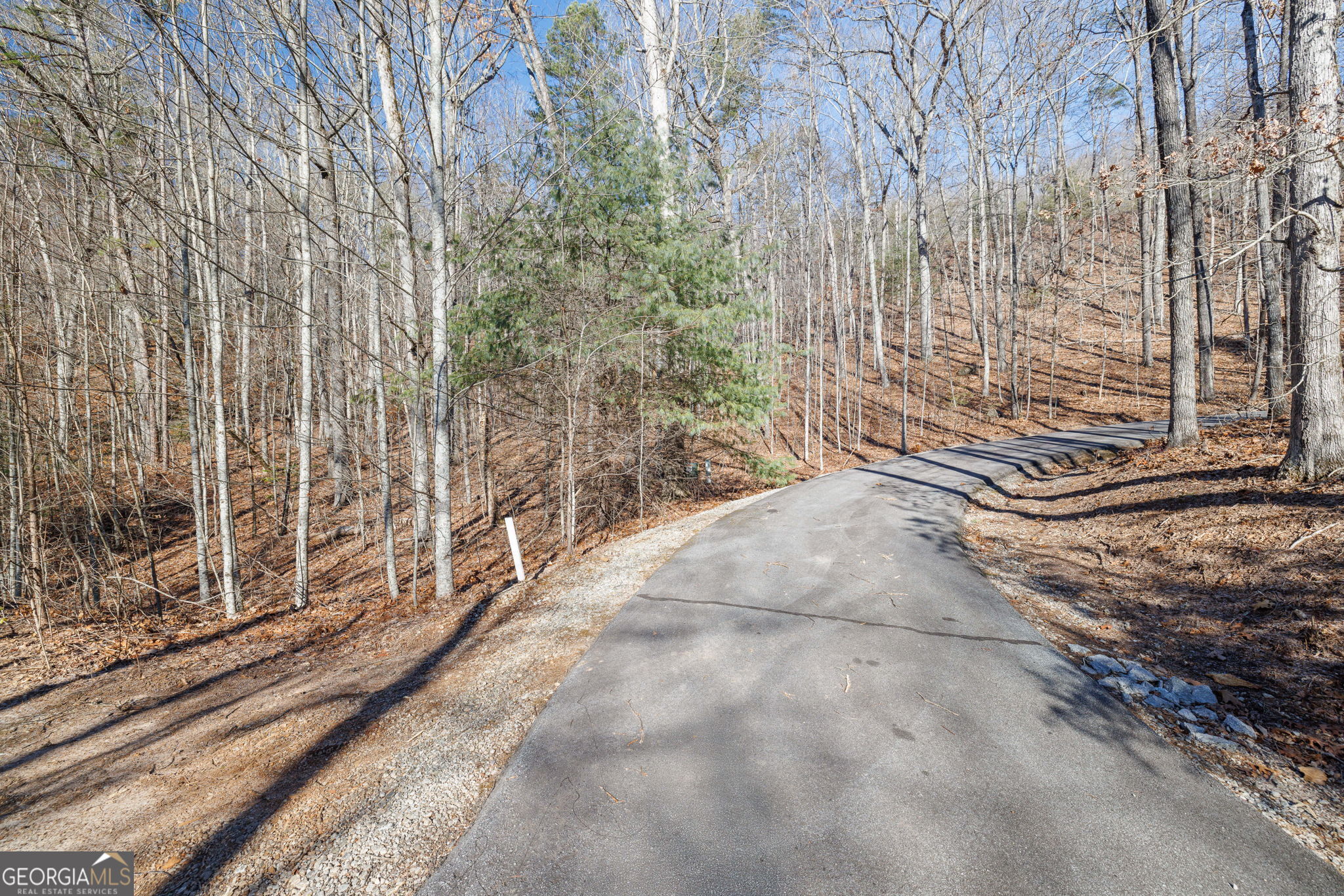 0 Forest Canopy Way # 11 Property Photo 9