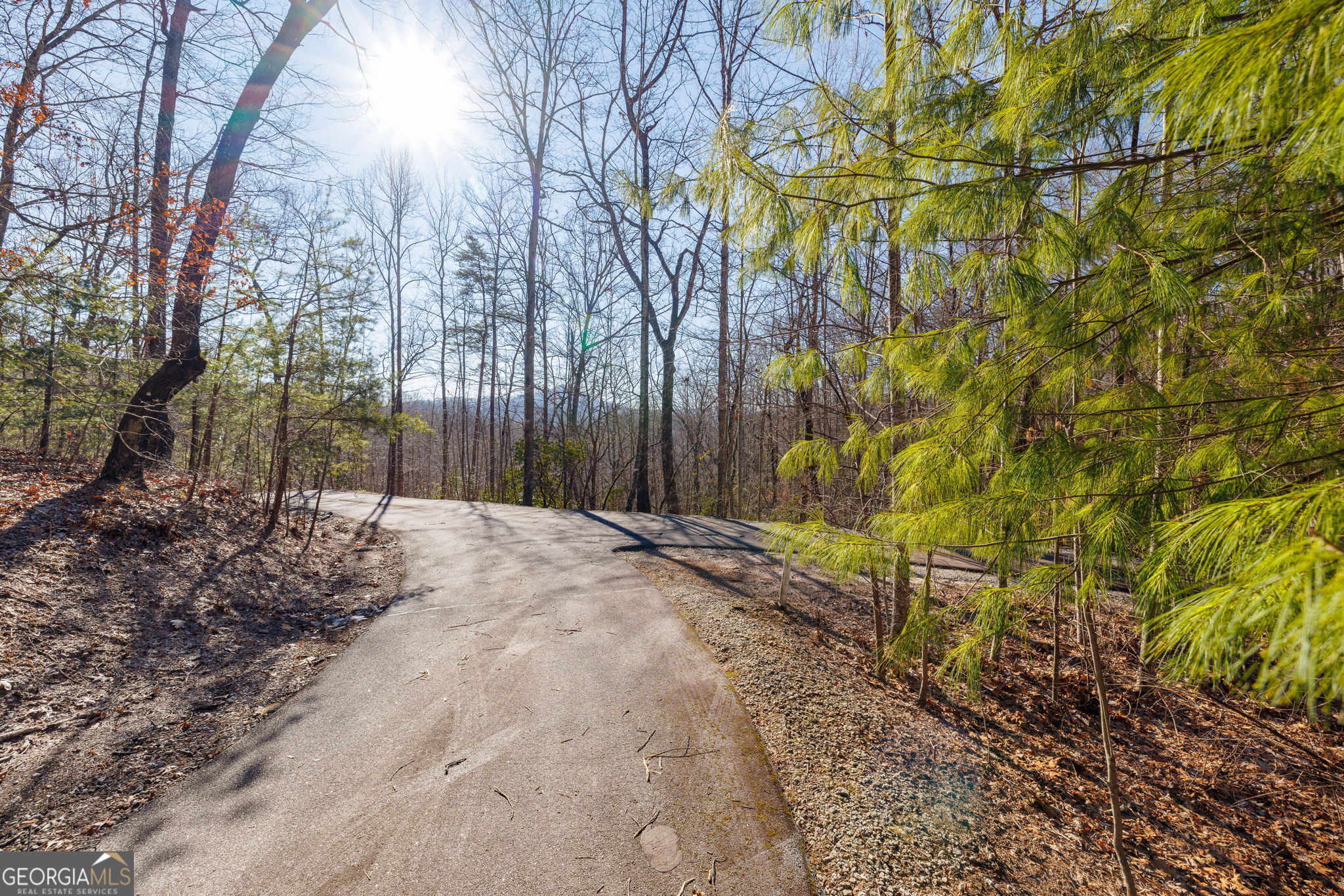 0 Forest Canopy Way # 11 Property Photo 10