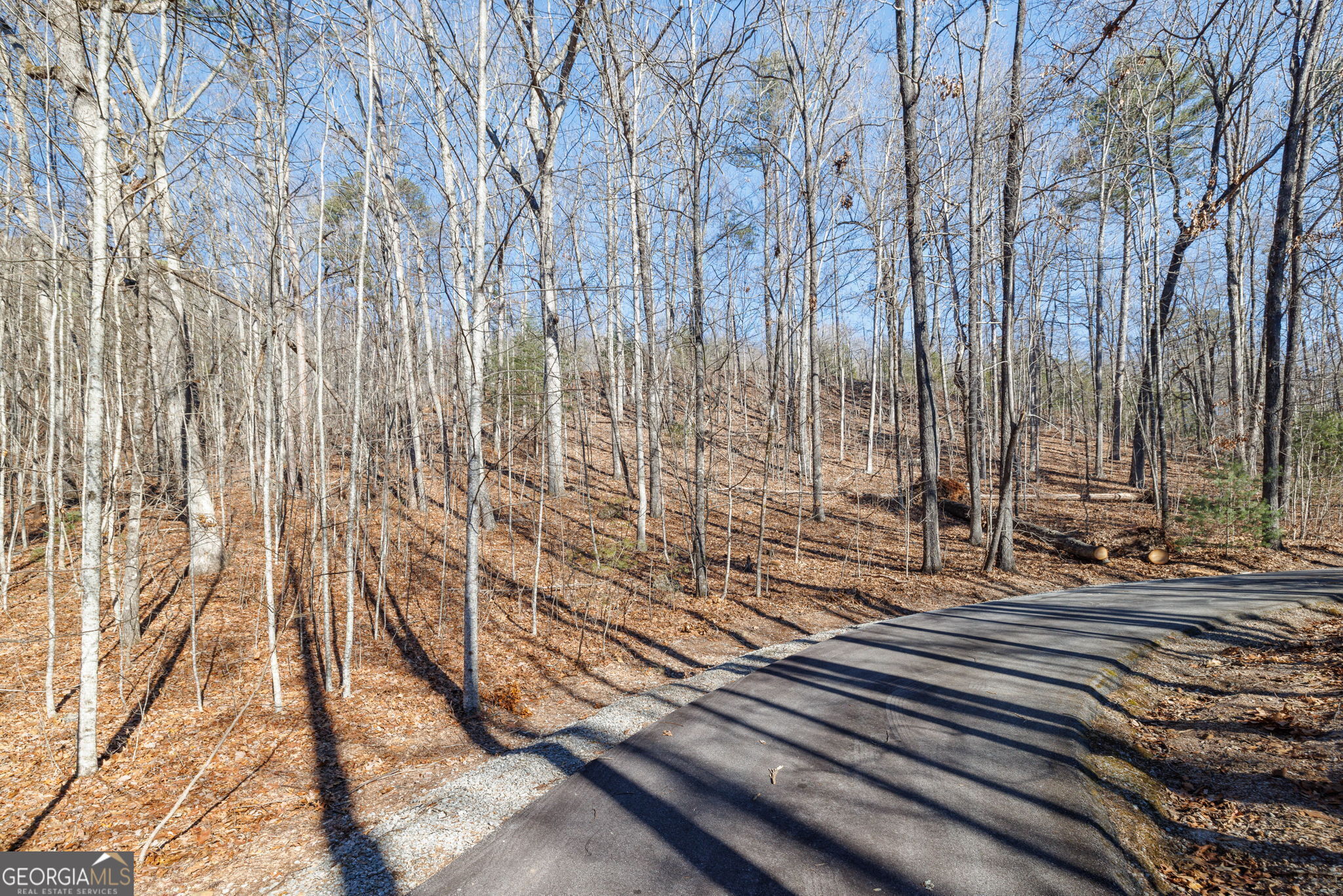 0 Forest Canopy Way # 11 Property Photo 11