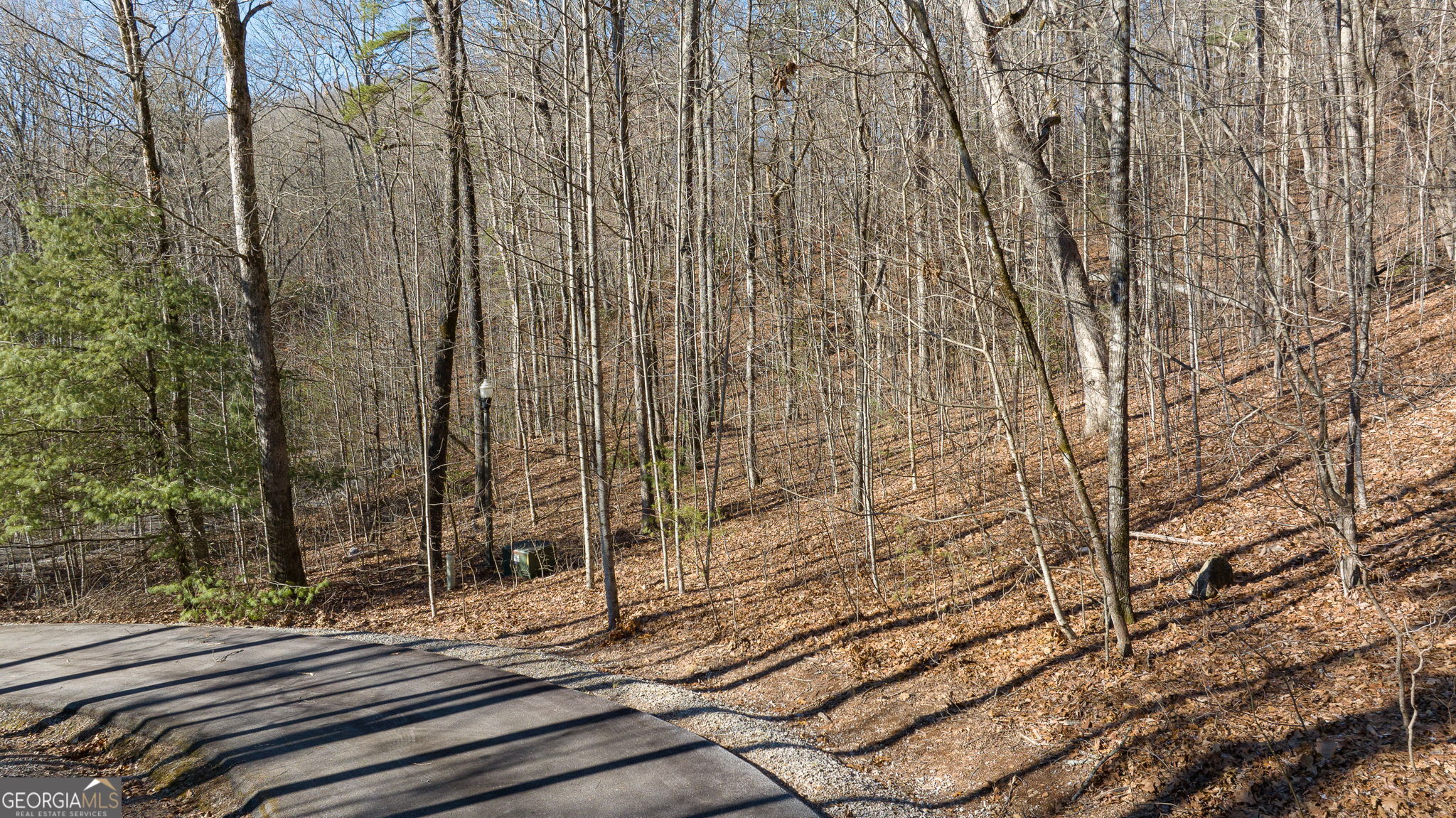 0 Forest Canopy Way # 11 Property Photo 13