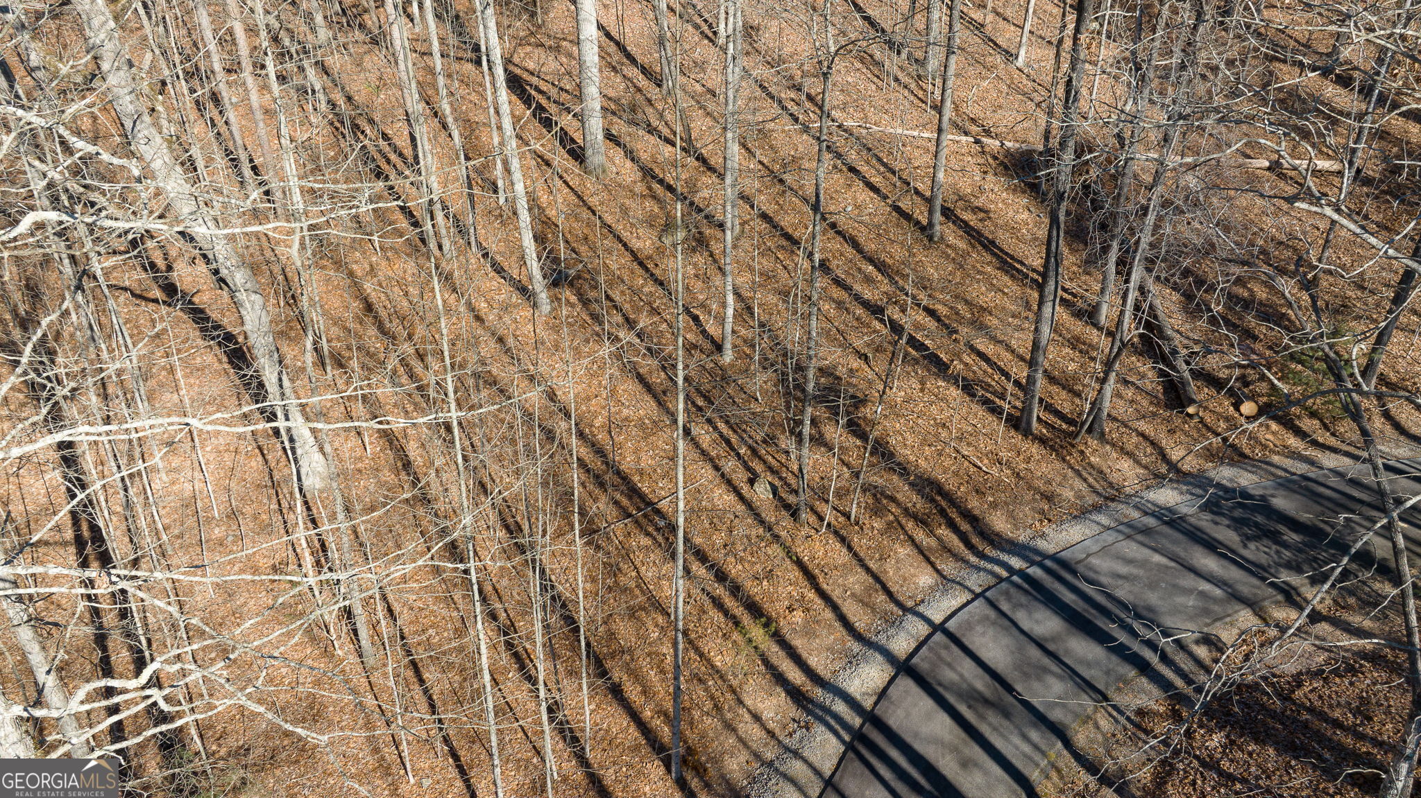 0 Forest Canopy Way # 11 Property Photo 14