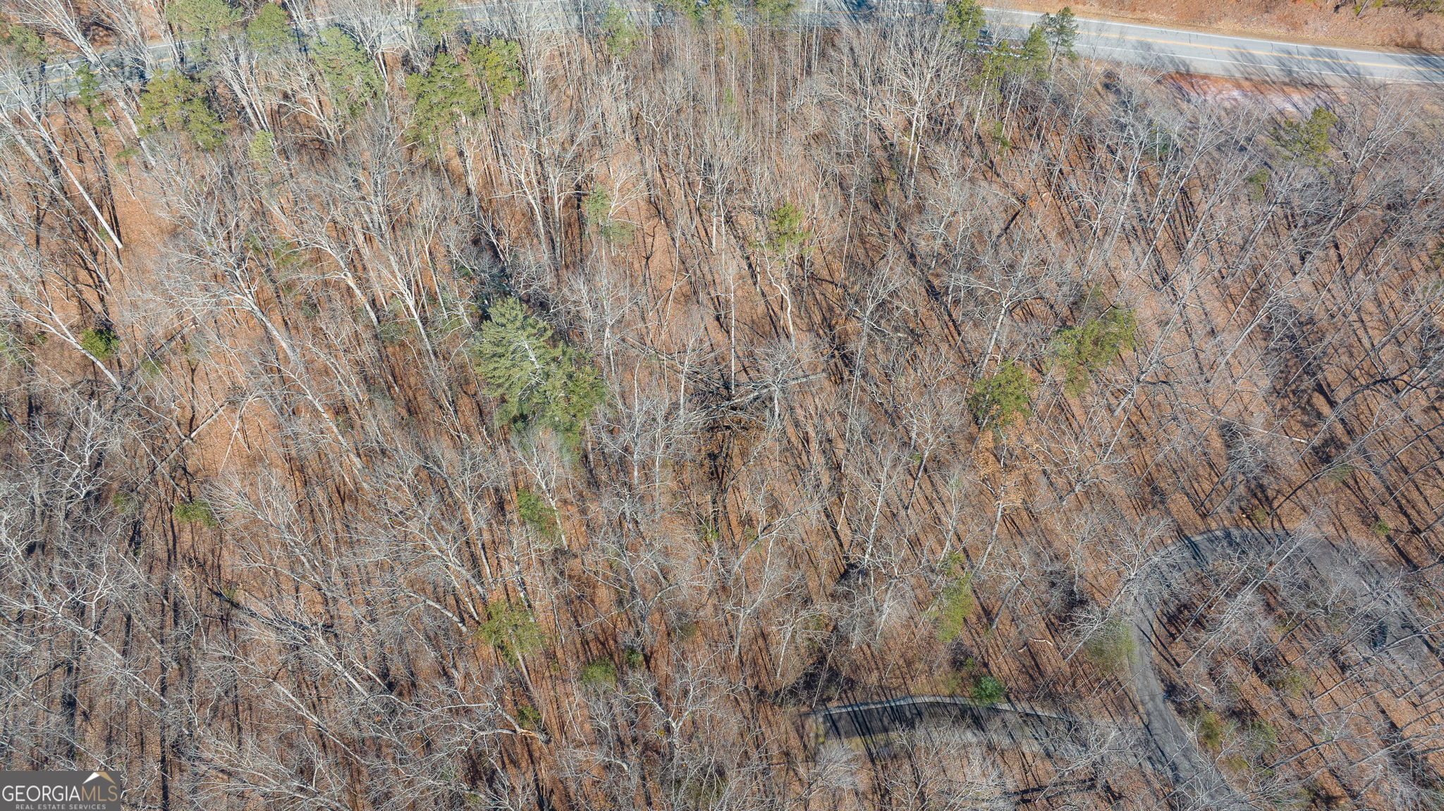 0 Forest Canopy Way # 11 Property Photo 17