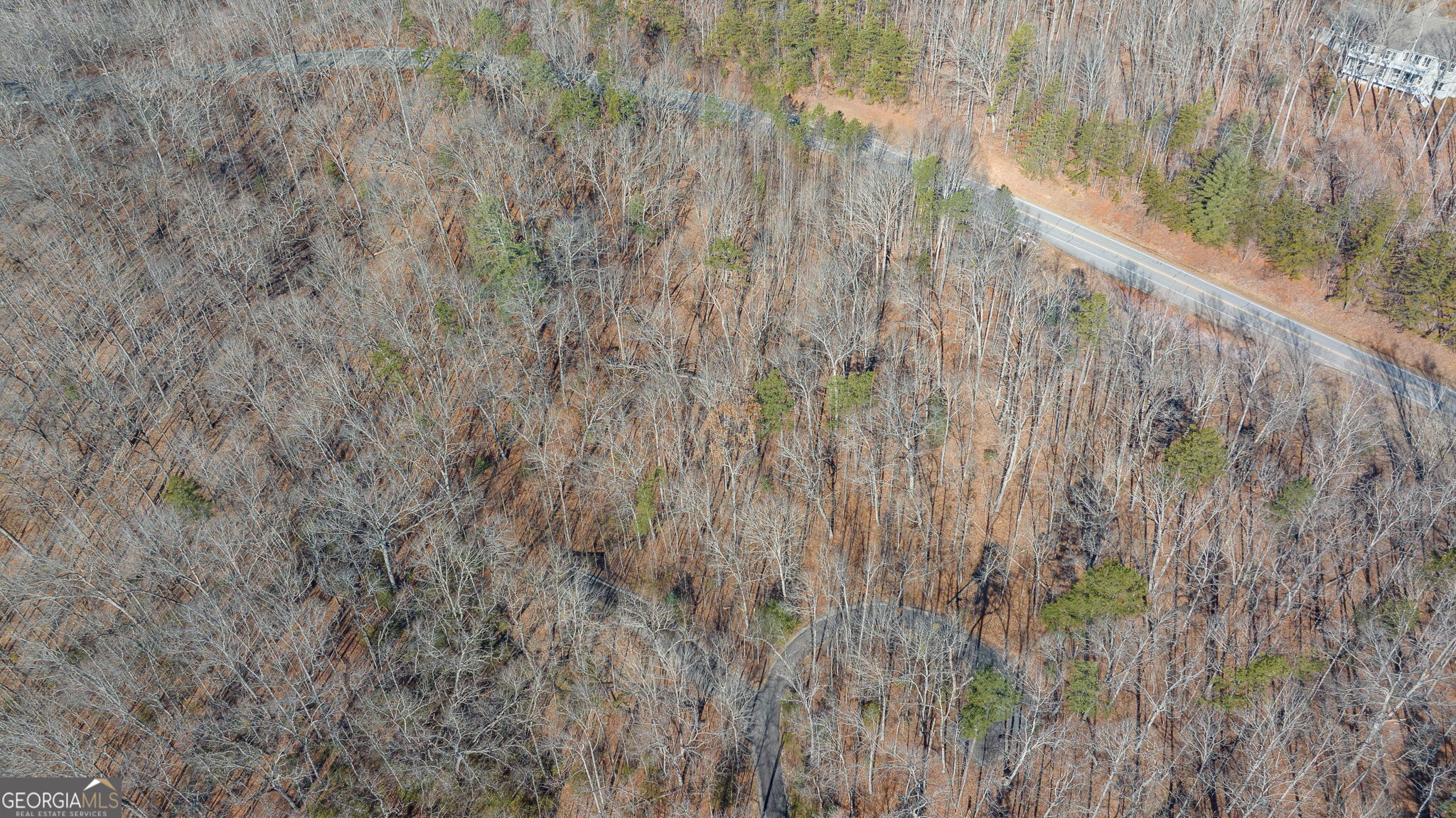 0 Forest Canopy Way # 11 Property Photo 18