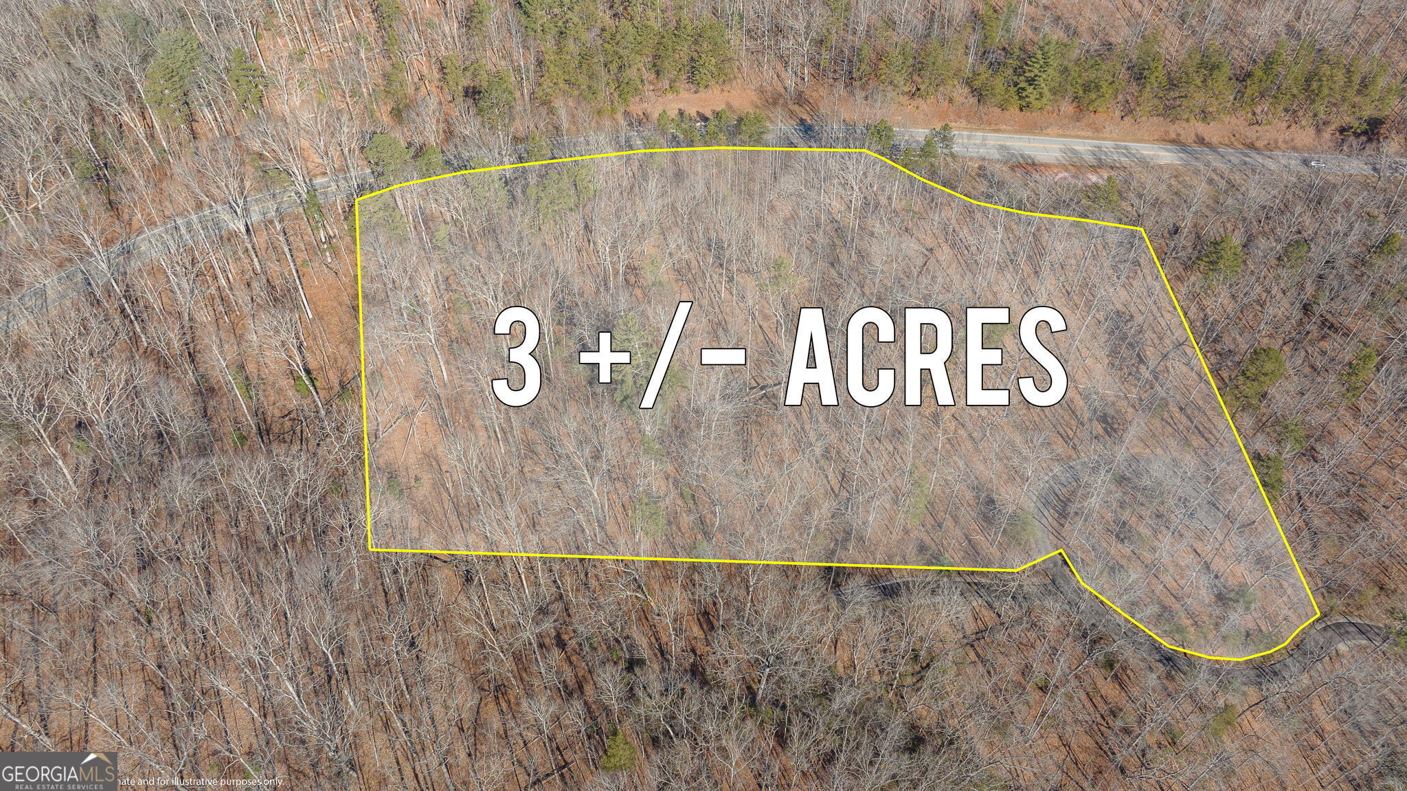 0 Forest Canopy Way # 11 Property Photo 19