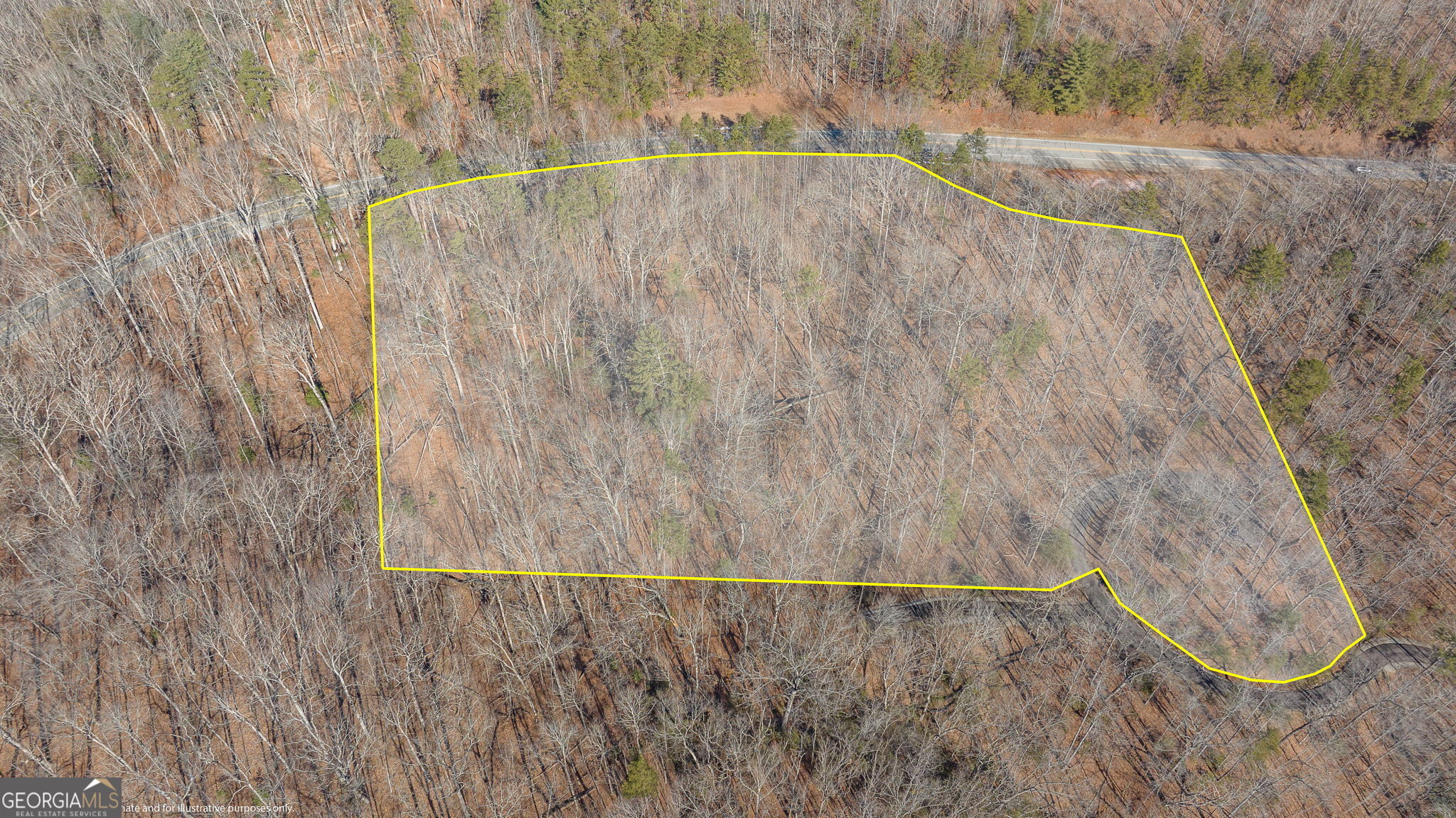 0 Forest Canopy Way # 11 Property Photo 20