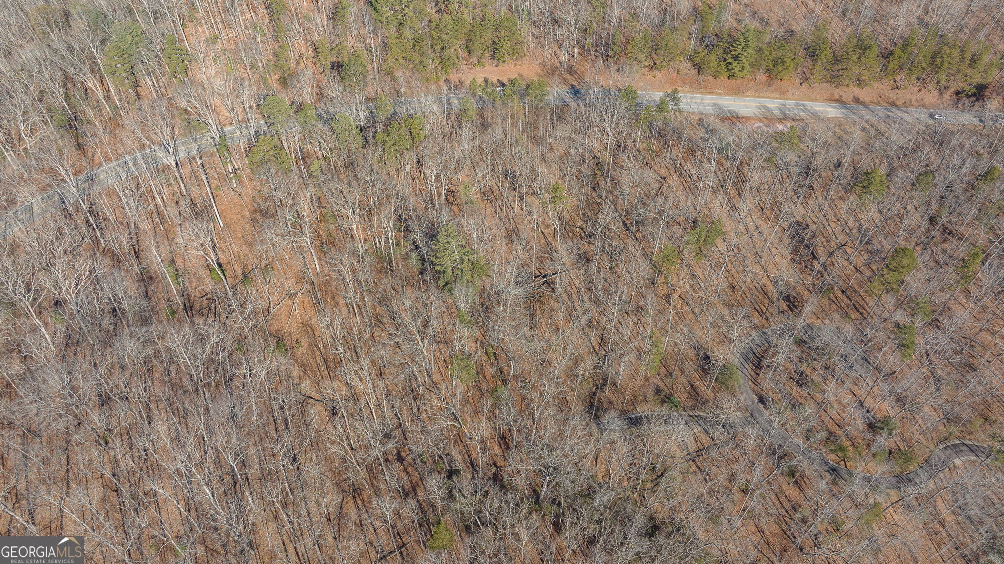 0 Forest Canopy Way # 11 Property Photo 21