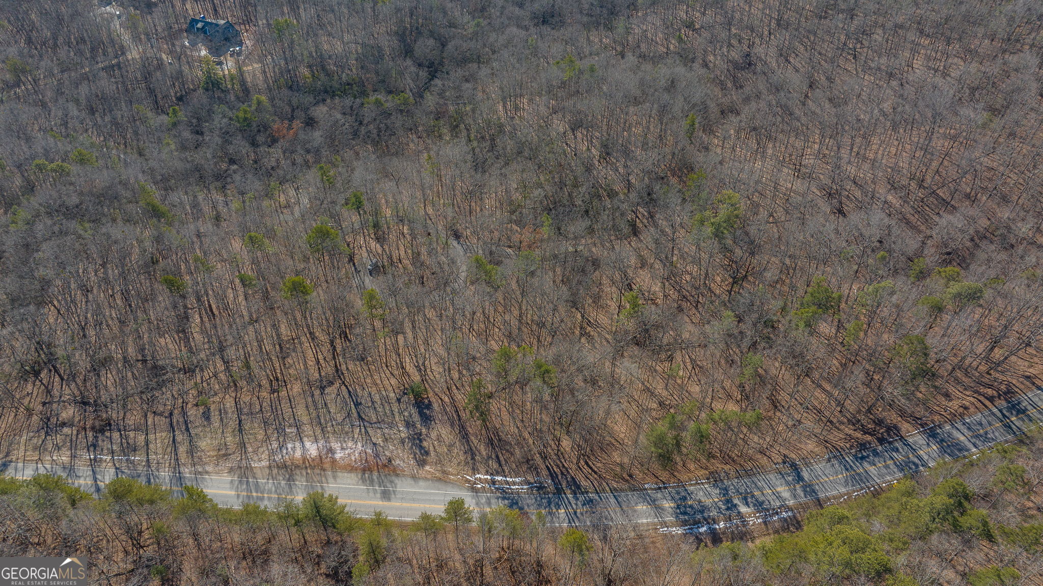 0 Forest Canopy Way # 11 Property Photo 24