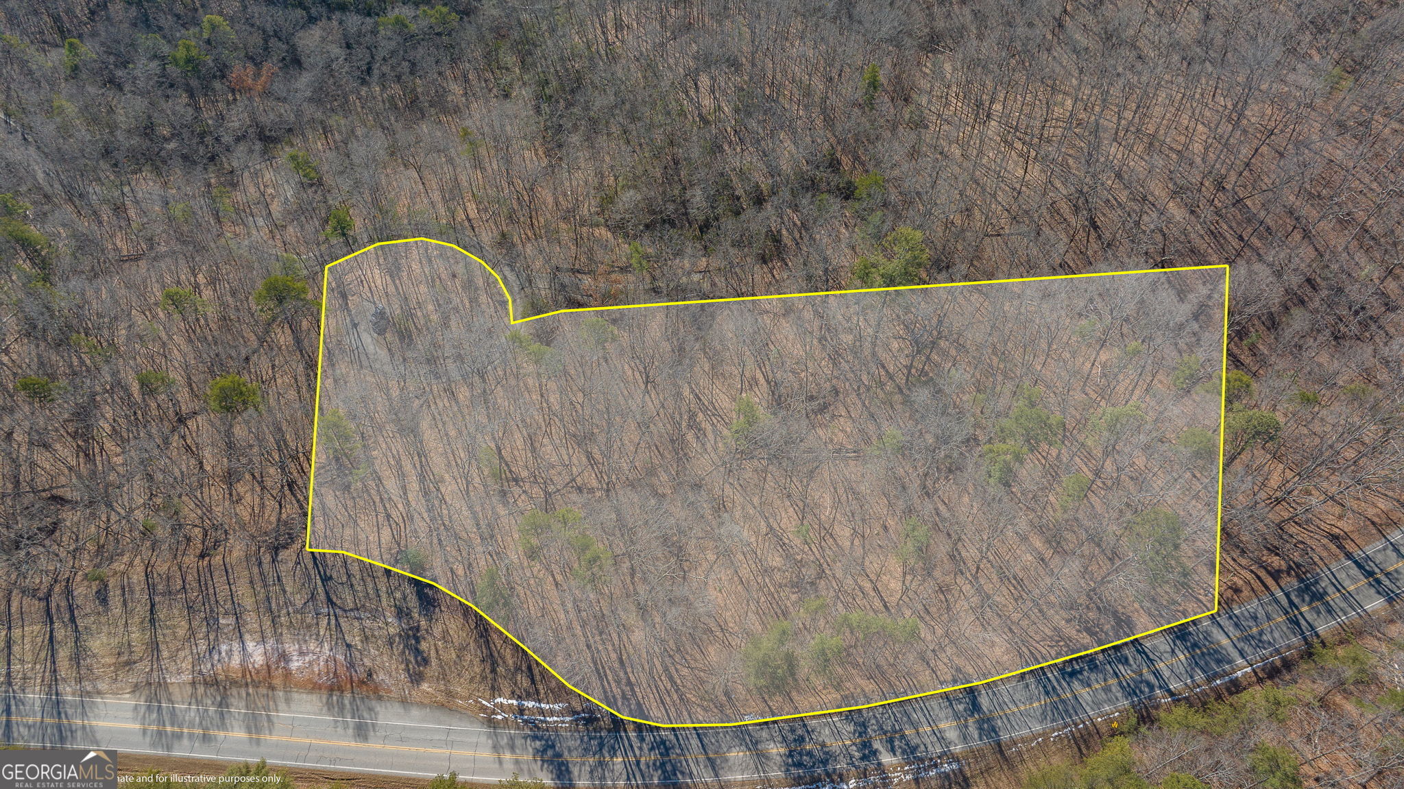 0 Forest Canopy Way # 11 Property Photo 26