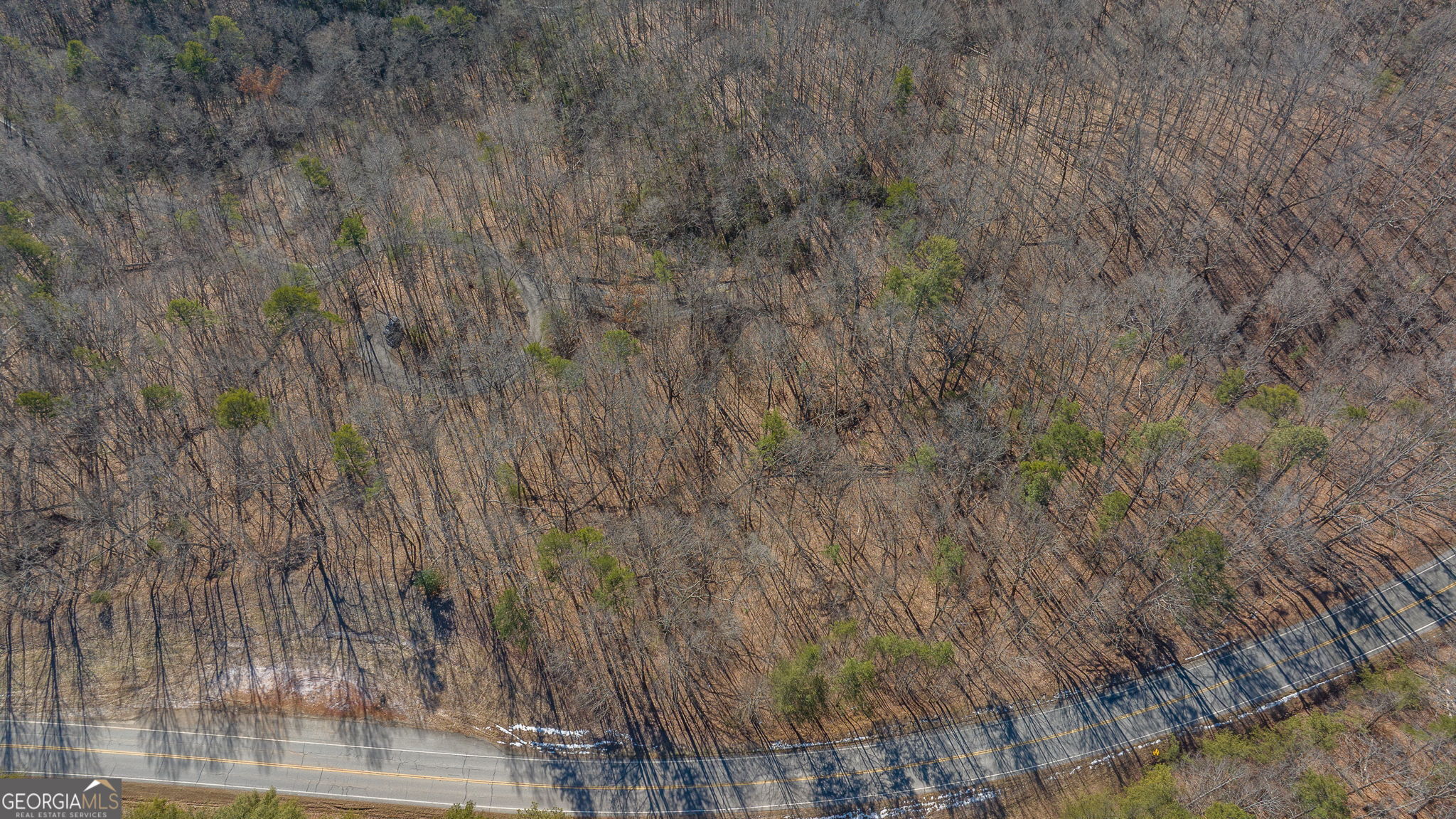 0 Forest Canopy Way # 11 Property Photo 27