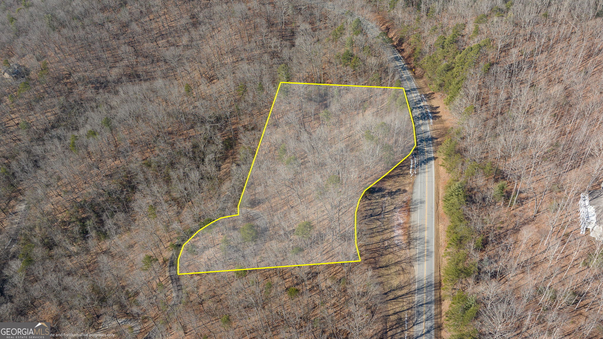 0 Forest Canopy Way # 11 Property Photo 29