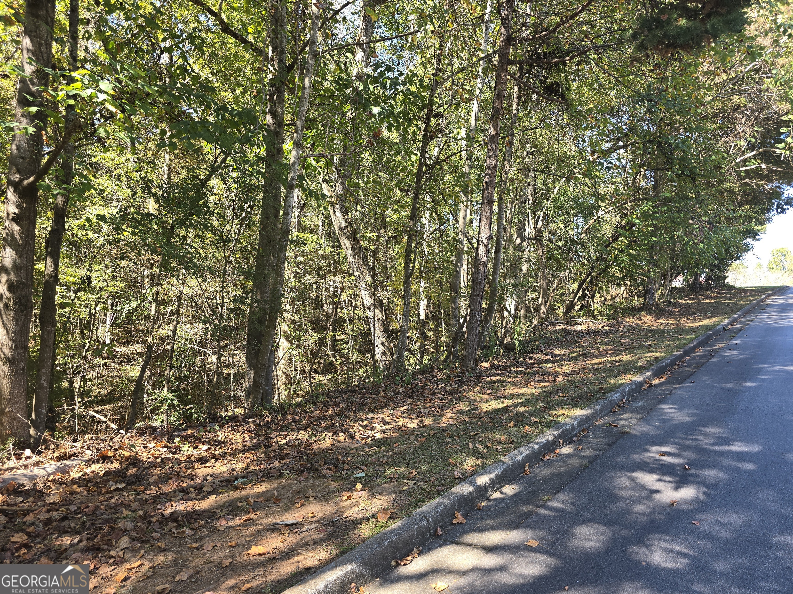 4215 Sandstone Shores Drive Property Photo 3