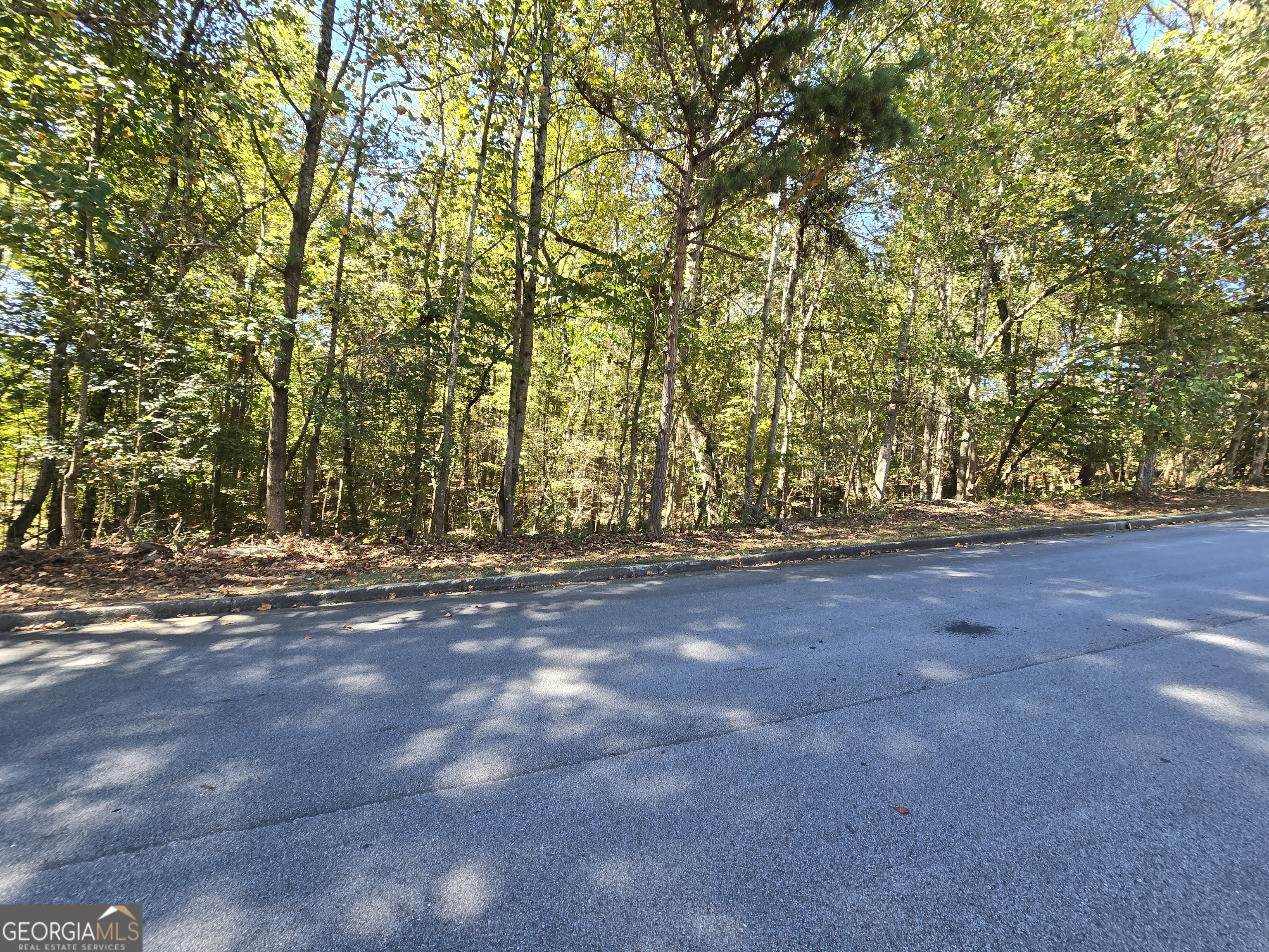 4215 Sandstone Shores Drive Property Photo 4