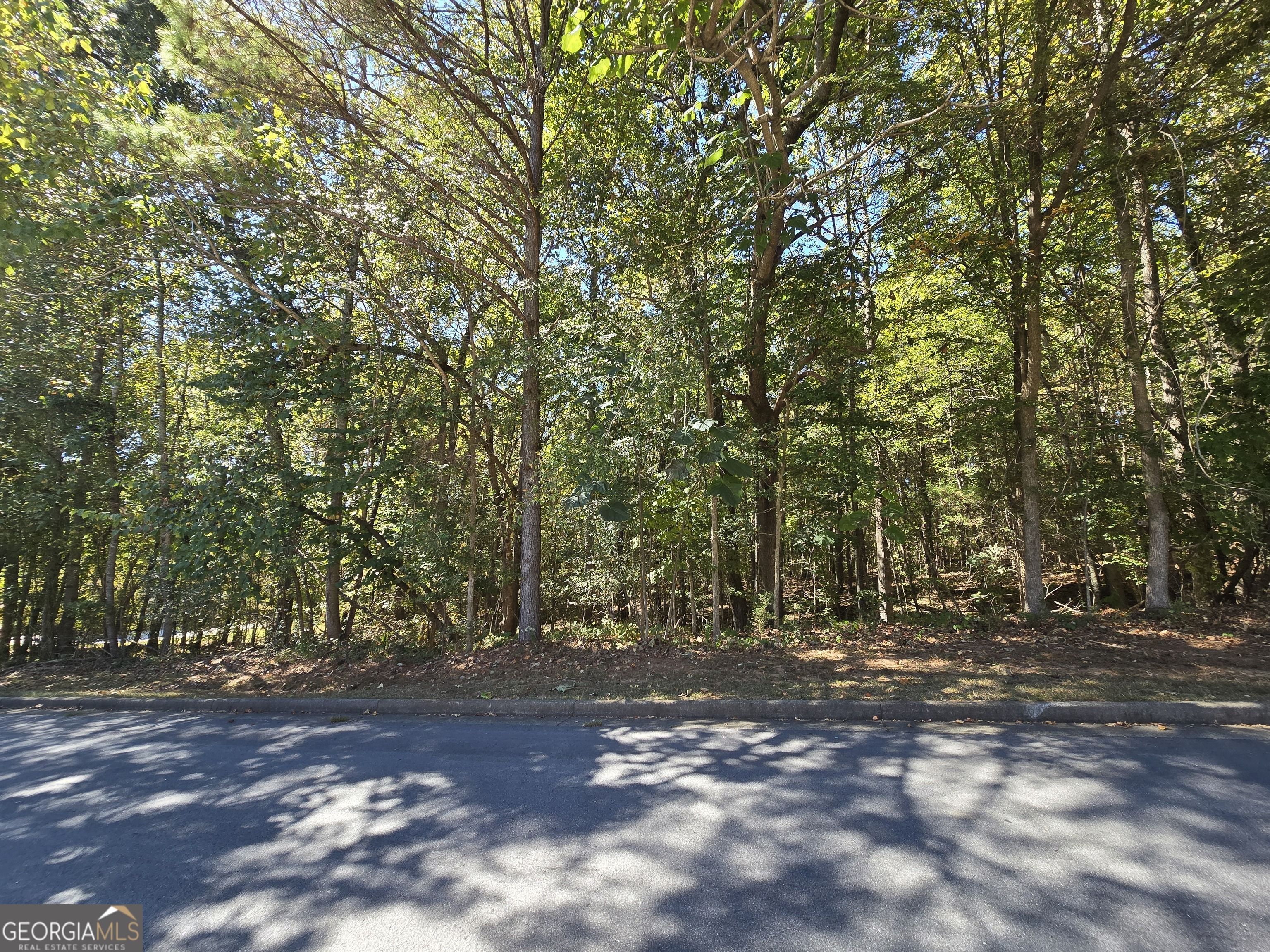 4215 Sandstone Shores Drive Property Photo 5