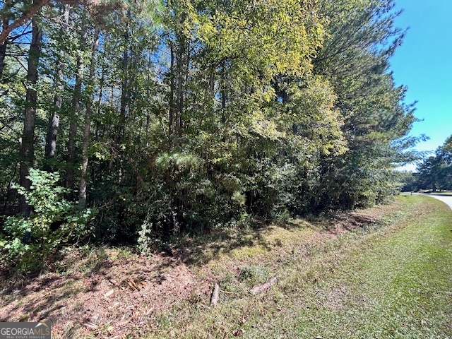 L-2 Smyrna Church Road Property Photo 1