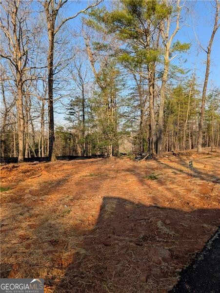 0 Yahoola Ridge Property Photo 3