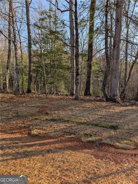 0 Yahoola Ridge Property Photo 5