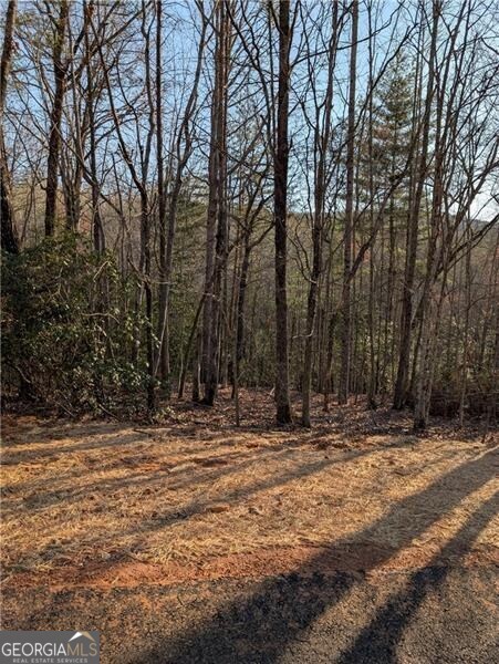 0 Yahoola Ridge Property Photo 7