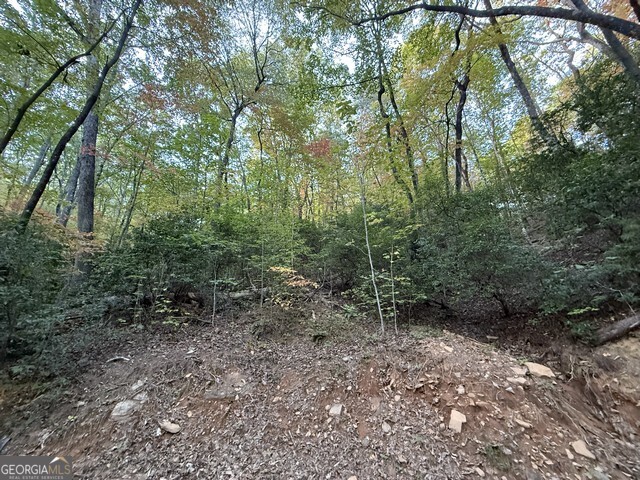 0 Wood Sorrel Lane Property Photo 4